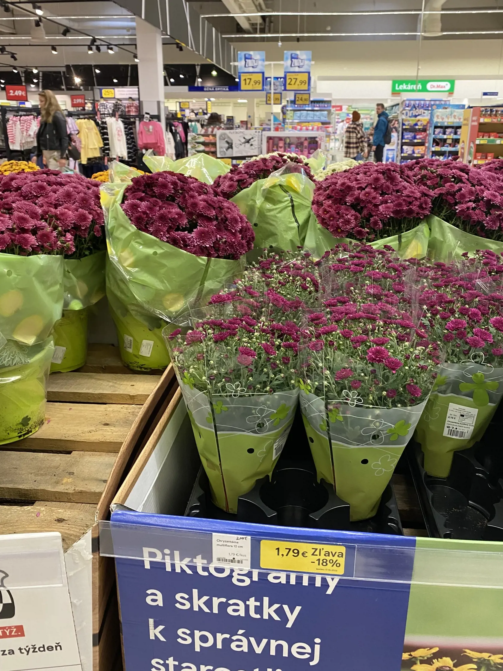 V supermarkete majú najlacnejšie chryzantémy.