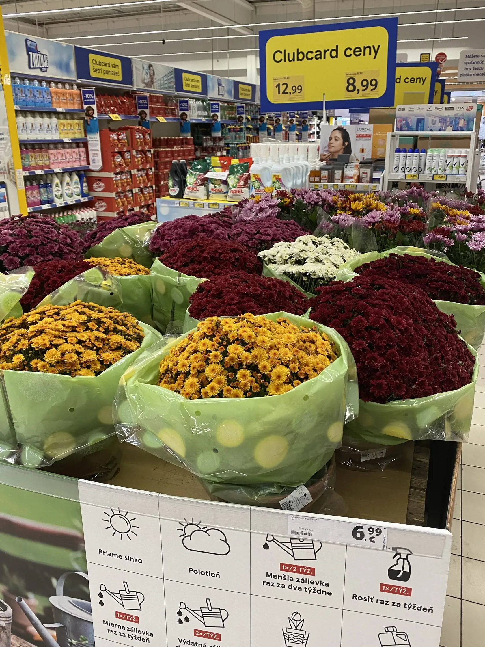 Veľké chryzantémy sú v supermarkete o 3 eurá lacnejšie než na trhu.