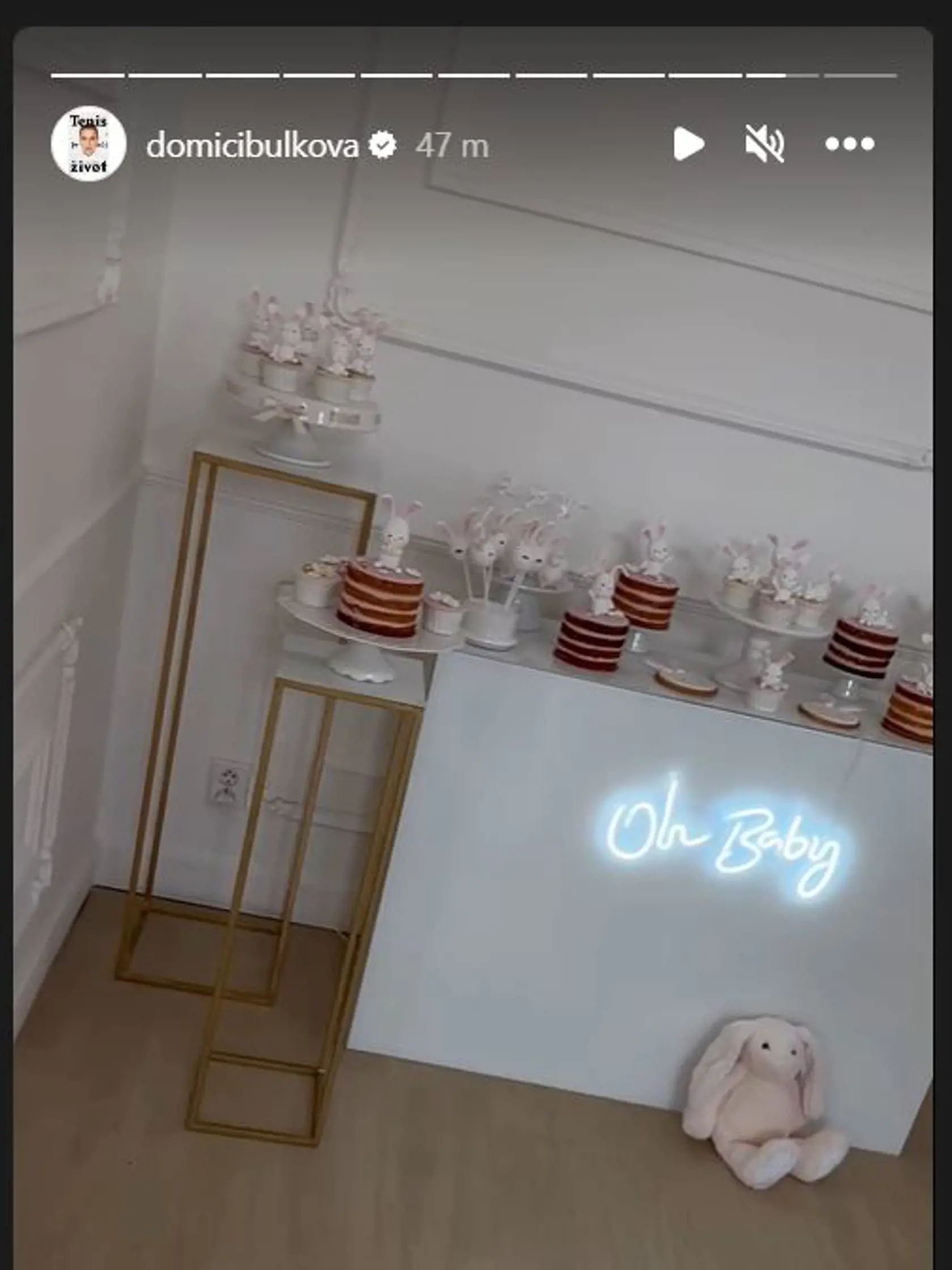 Cukrovinky a viaceré detaily na baby shower sa niesli v zajačikovom štýle.