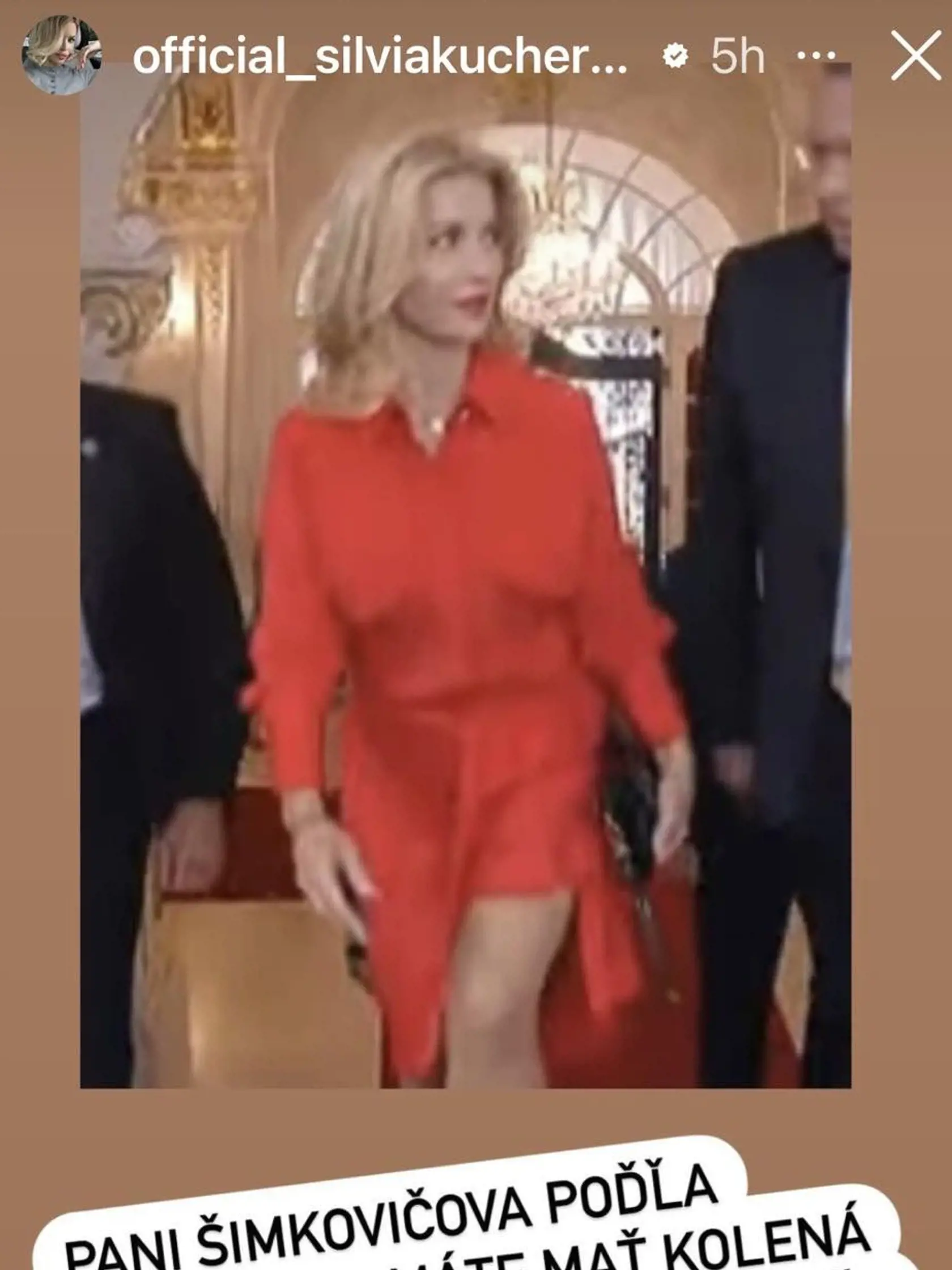 Martina Šimkovičová to svojimi šatami na inaugurácii Petra Pellegriniho prepískla. Protokol totiž hovorí, že žena má mať dlhé šaty. Kucherenko jej to nedarovala.