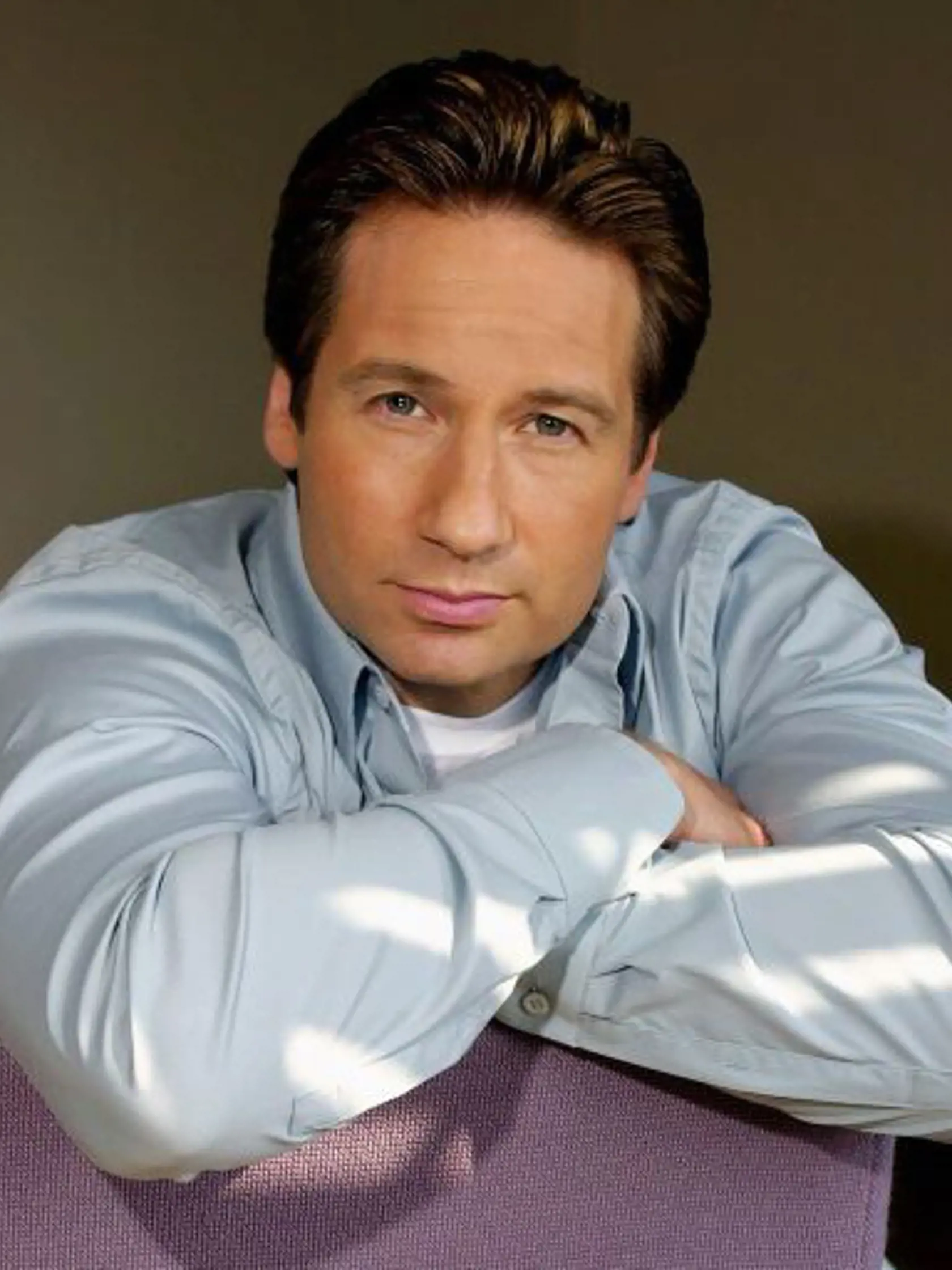 David stvárnil jednu z hlavných postáv úspešného amerického seriálu Californication – Orgie v Kalifornii.