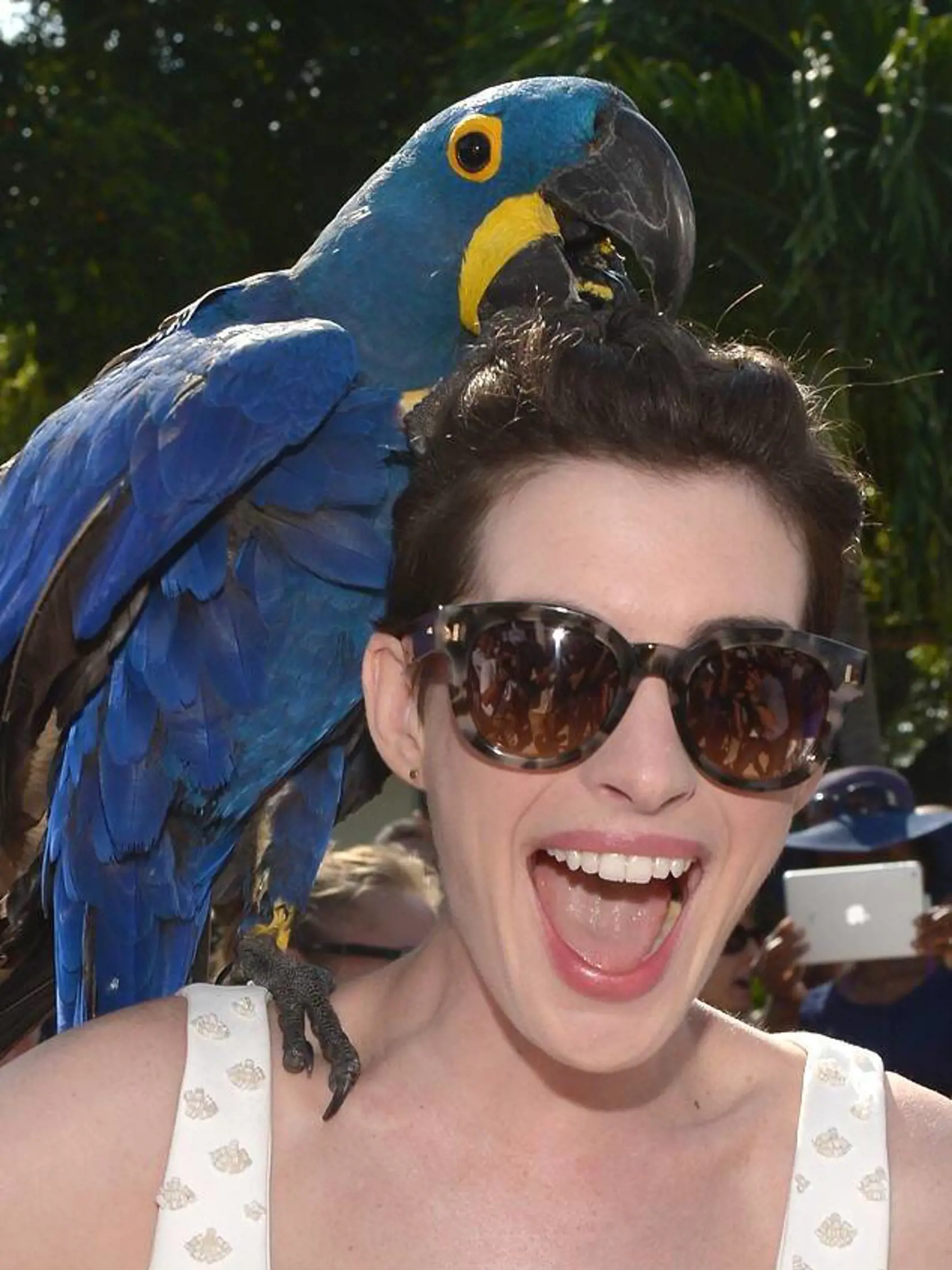 Anne Hathaway dovolila tomuto obrovskému papagájovi ochutnať jej vlasy.