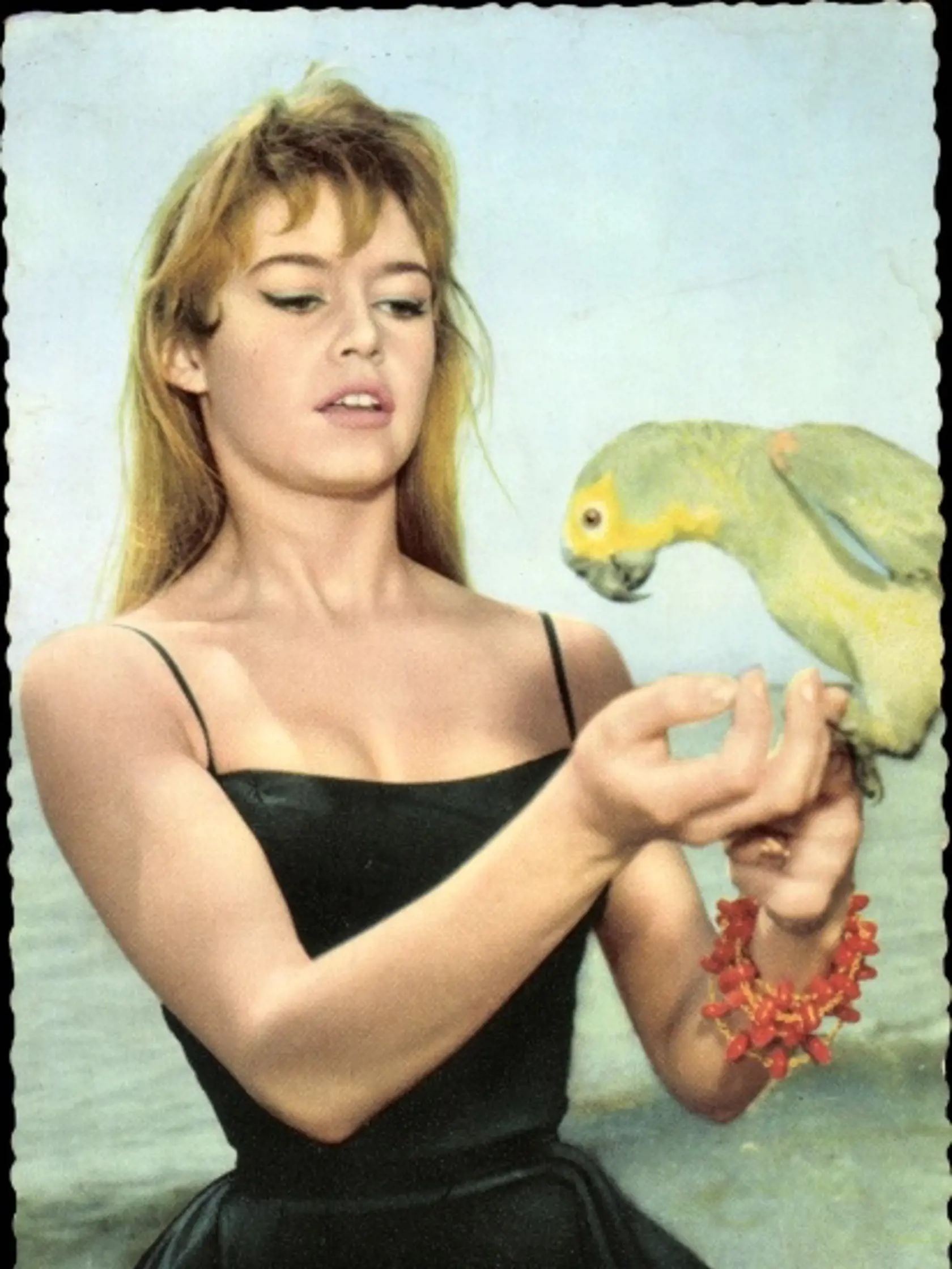Vtákov mala vždy rada aj legendárna Brigitte Bardot. V roku 1973 svoju kariéru ukončila a začala sa venovať právam zvierat. Natočila pritom 47 filmov a naspievala 80 piesní.