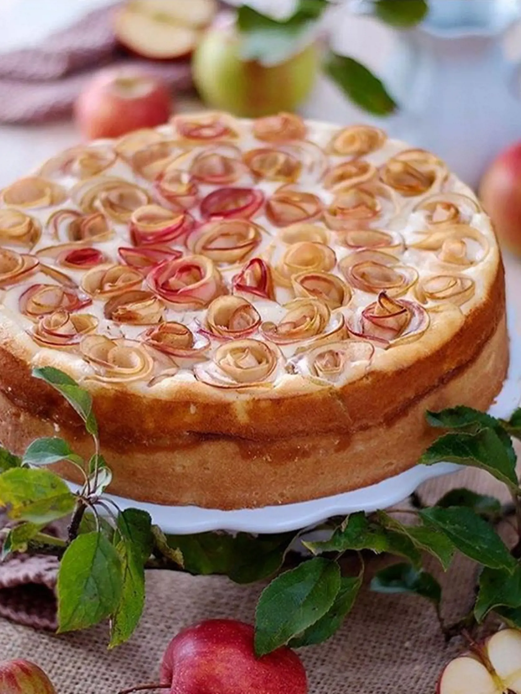 V jablkovej torte sú zapečené jablkové &quot;ružičky&quot;.