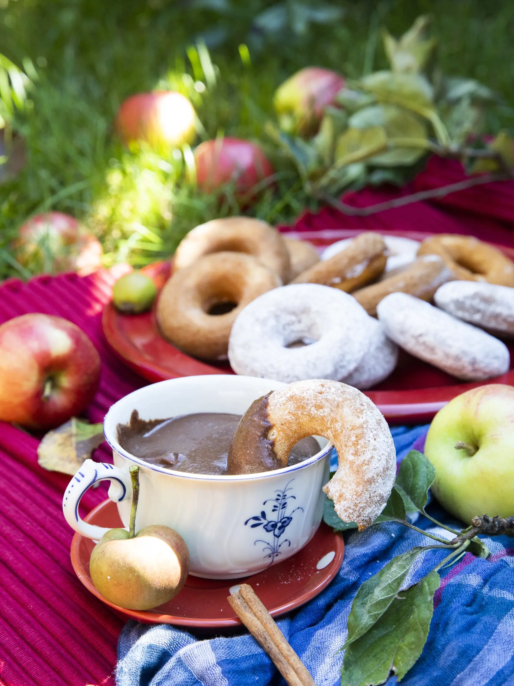pečené donuty s jablkovým ciderom a jablkovou nutelou

recept:
24 KUSOV, PRÍPRAVA 40 MINÚT, PEČENIE 10 MINÚT
• 250 ml kvalitného jablkového cideru
• 300 g hladkej múky • 40 g kukuričného škrobu • 170 g krupicového cukru
• pol lyžičky mletej škorice • pol
lyžičky mletého zázvoru • štvrť lyžičky mletého muškátového orieška
• 2 pomleté klinčeky • 1 a pol lyžičky kypriaceho prášku • štvrť lyžičky sódy bikarbóny • štipka soli • 125 ml acidka izbovej teploty • 2