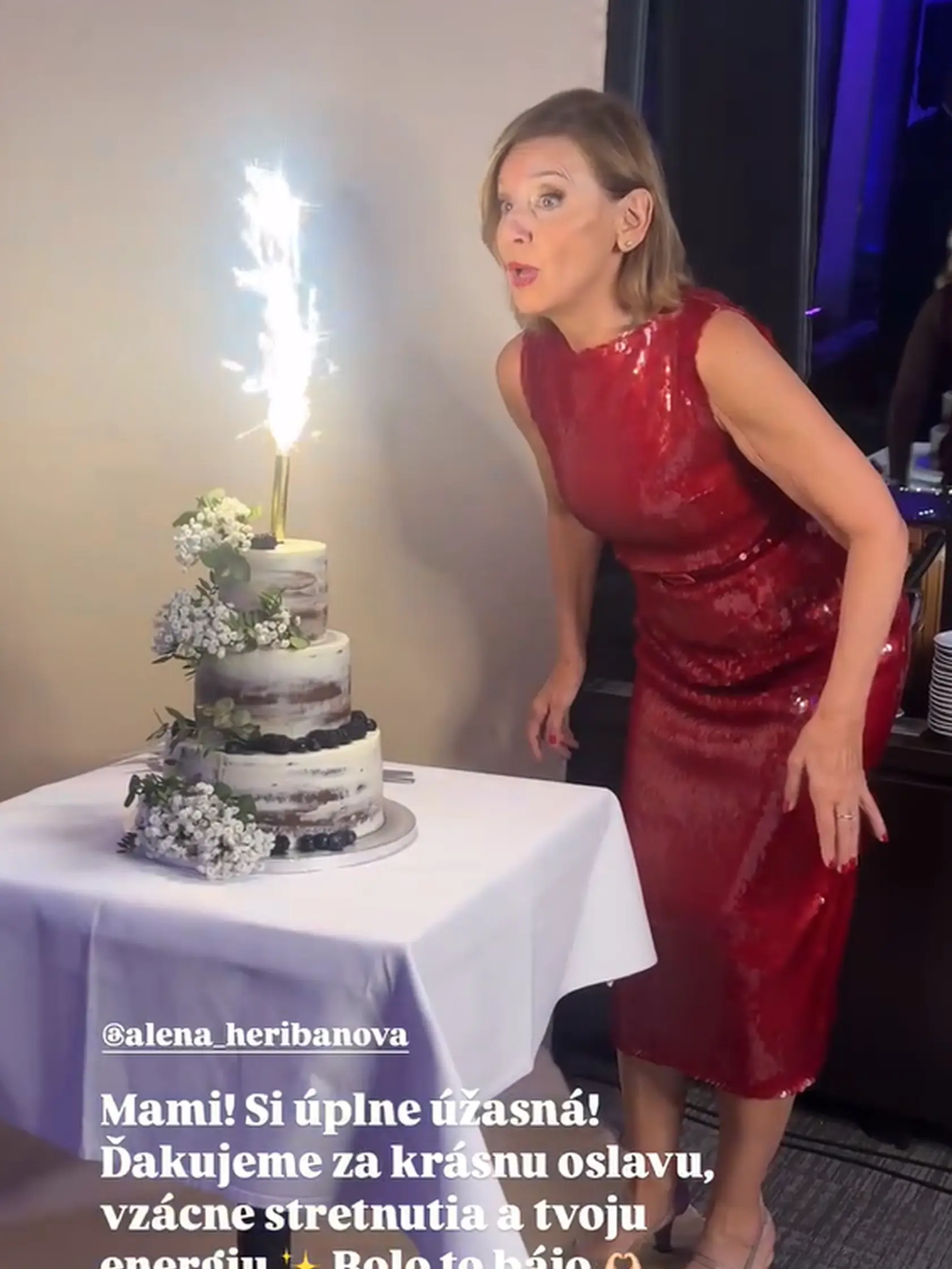 Veľkolepá oslava 70-ky Aleny Heribanovej sa konala symbolicky na Kamzíku v televíznej veži. Jubilantka dostala nádhernú poschodovú tortu.