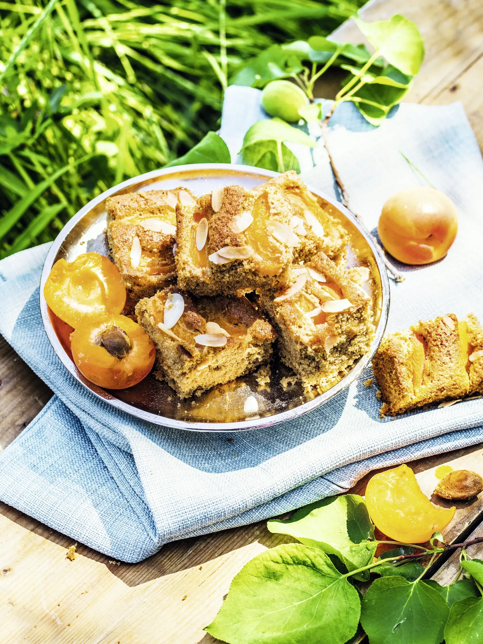 Ovseno- pohánková bublanina s marhuľami