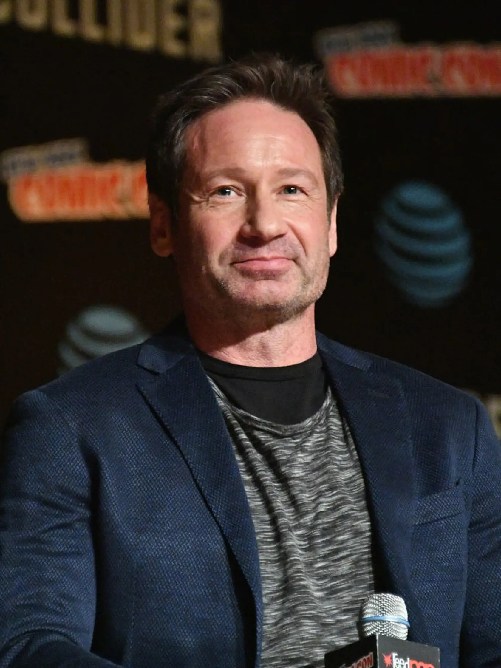 NEW YORK, NY - OCTOBER 08:  David Duchovny speaks onstage at The X-Files panel during 2017 New York Comic Con -Day 4 on October 8, 2017 in New York City.  (Photo by Dia Dipasupil/Getty Images)
