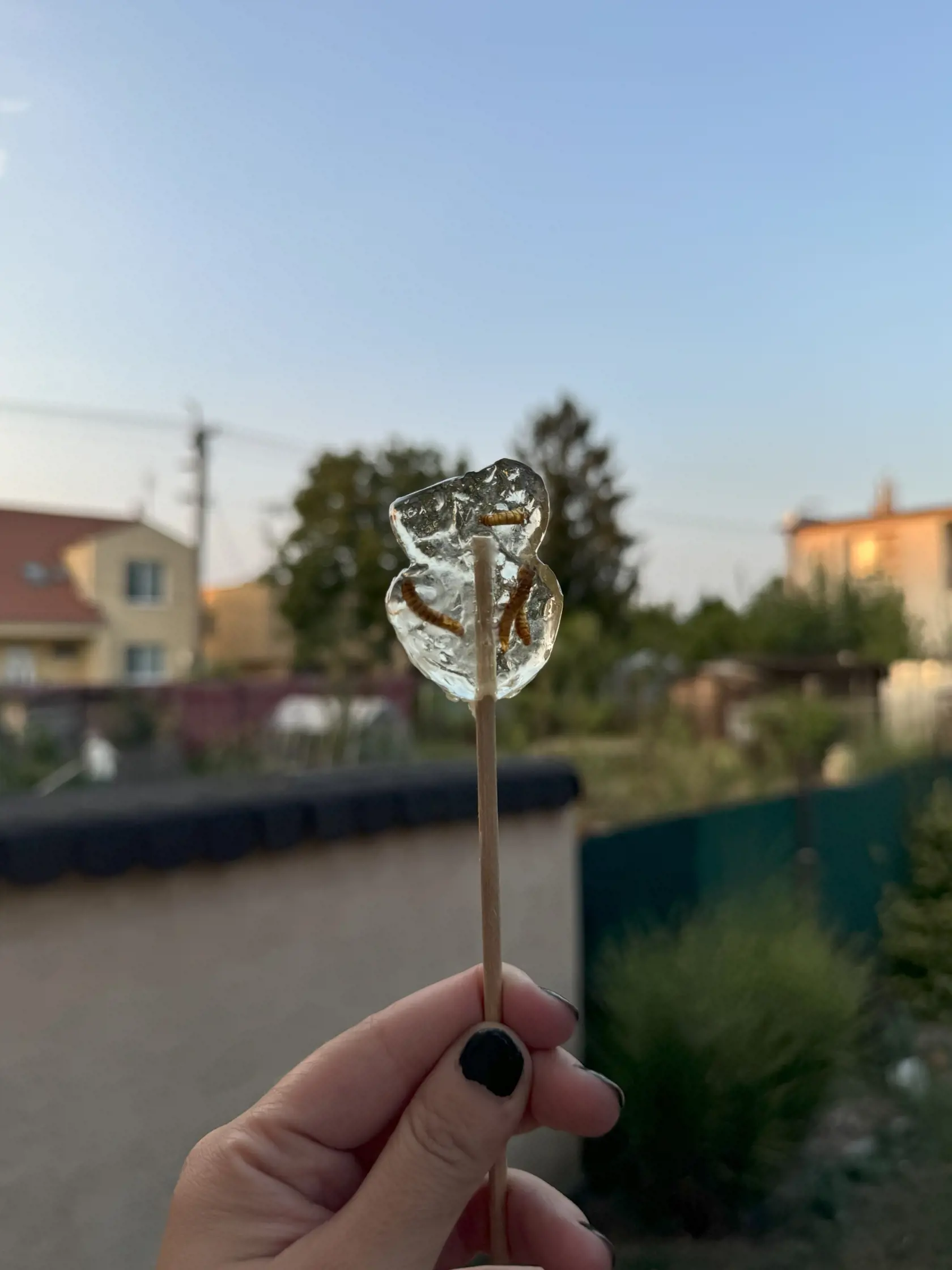 Chuť lízanky larvy nezmenili.
