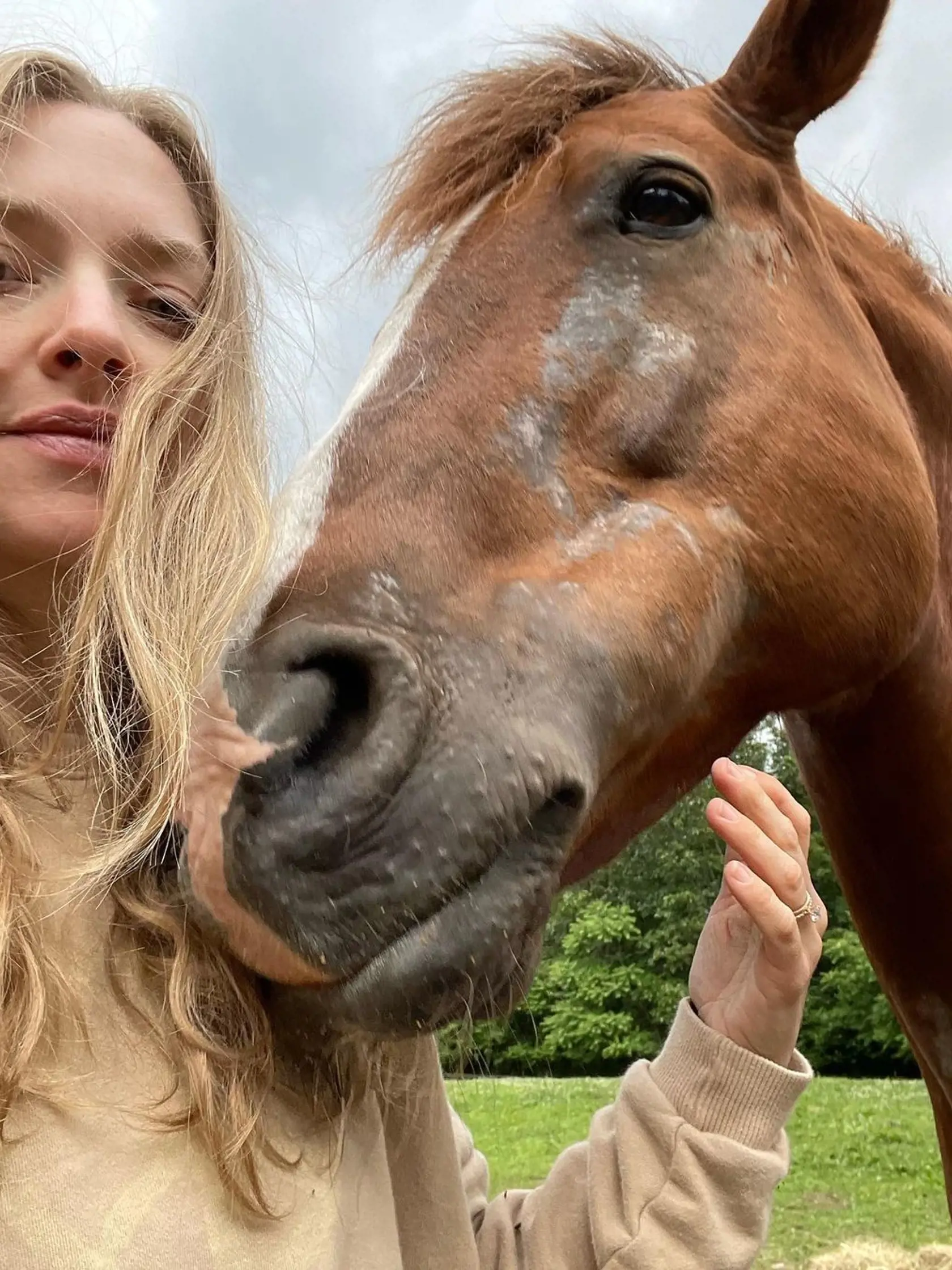 Amanda Seyfried