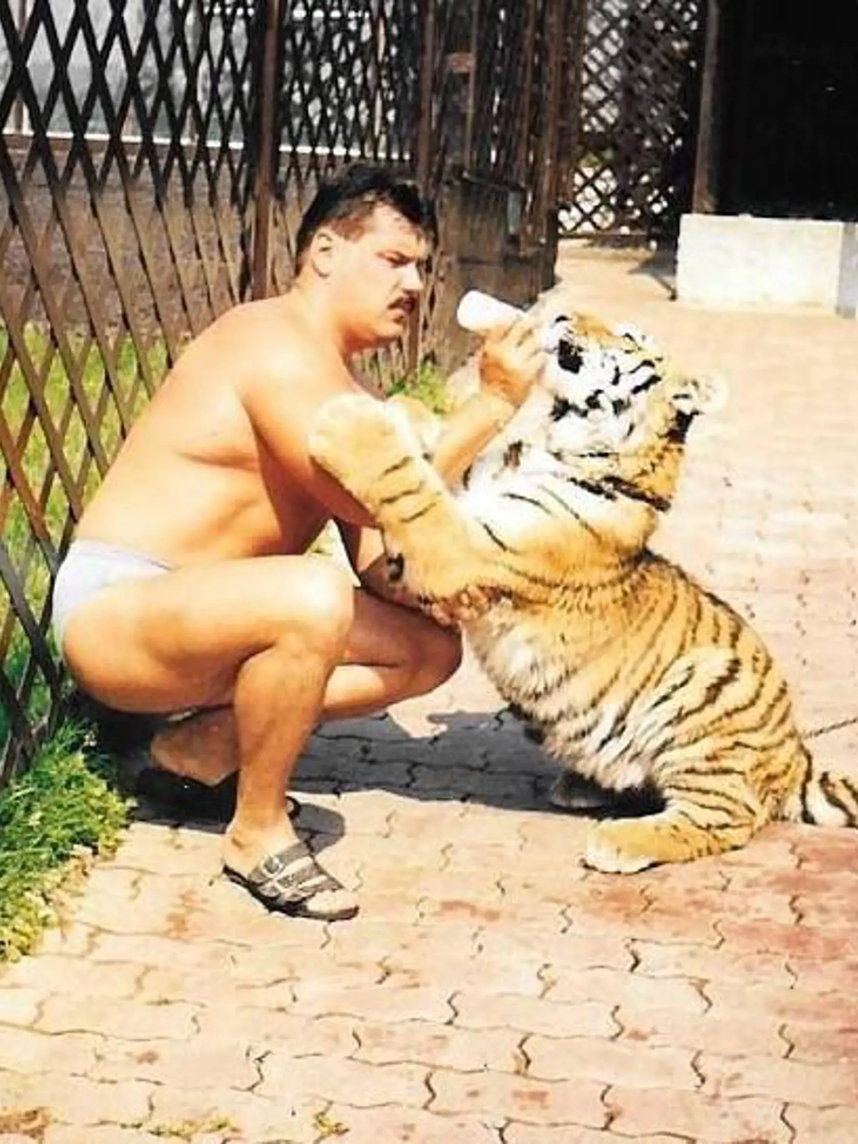 Mikuláš Černák sa tiež rád predvádzal s tigrami, rovnako ako Plačková.