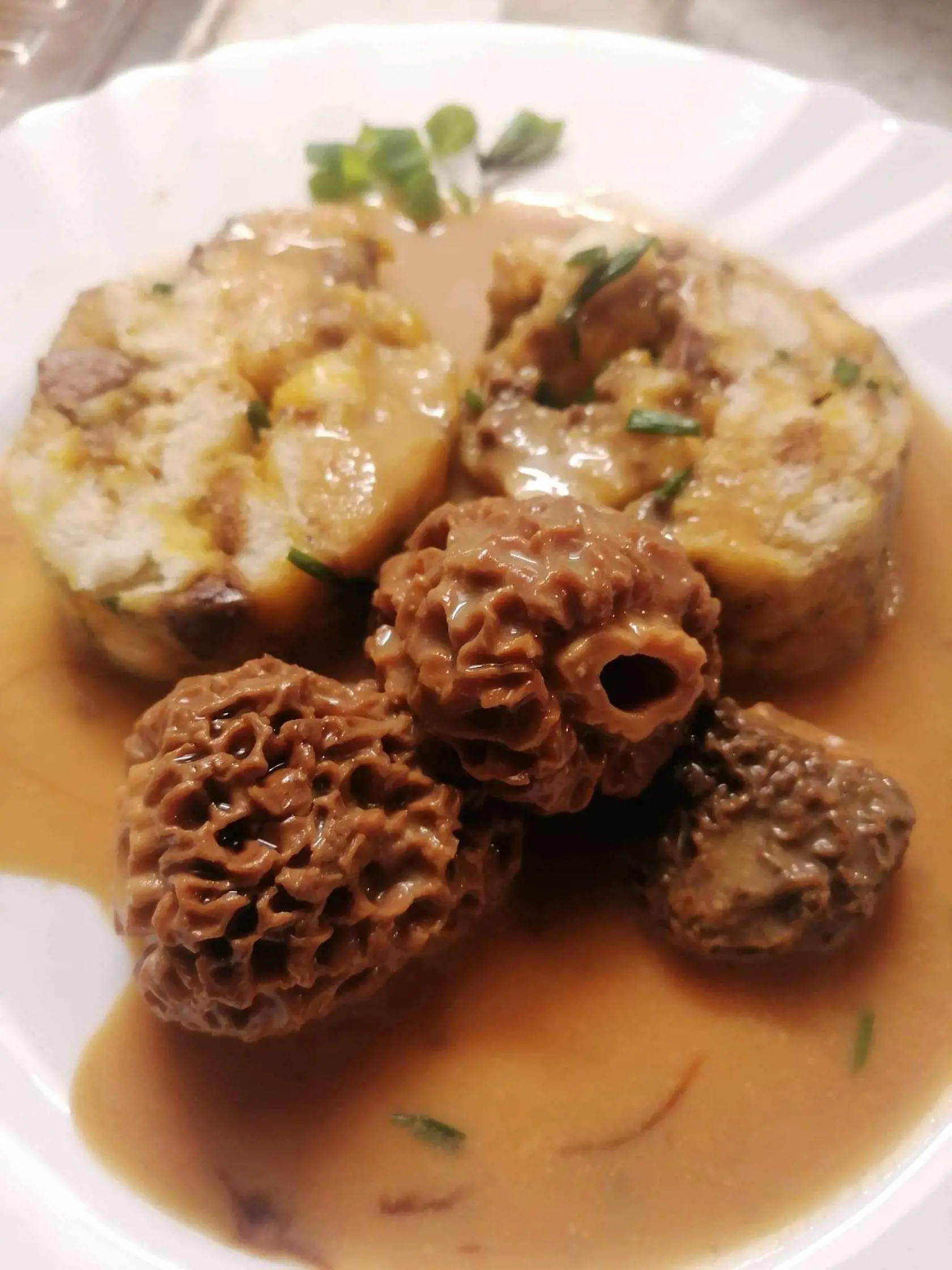 Smrčok-výborný je na omáčke a knedlíkom. Recept od Maťa Madarása.