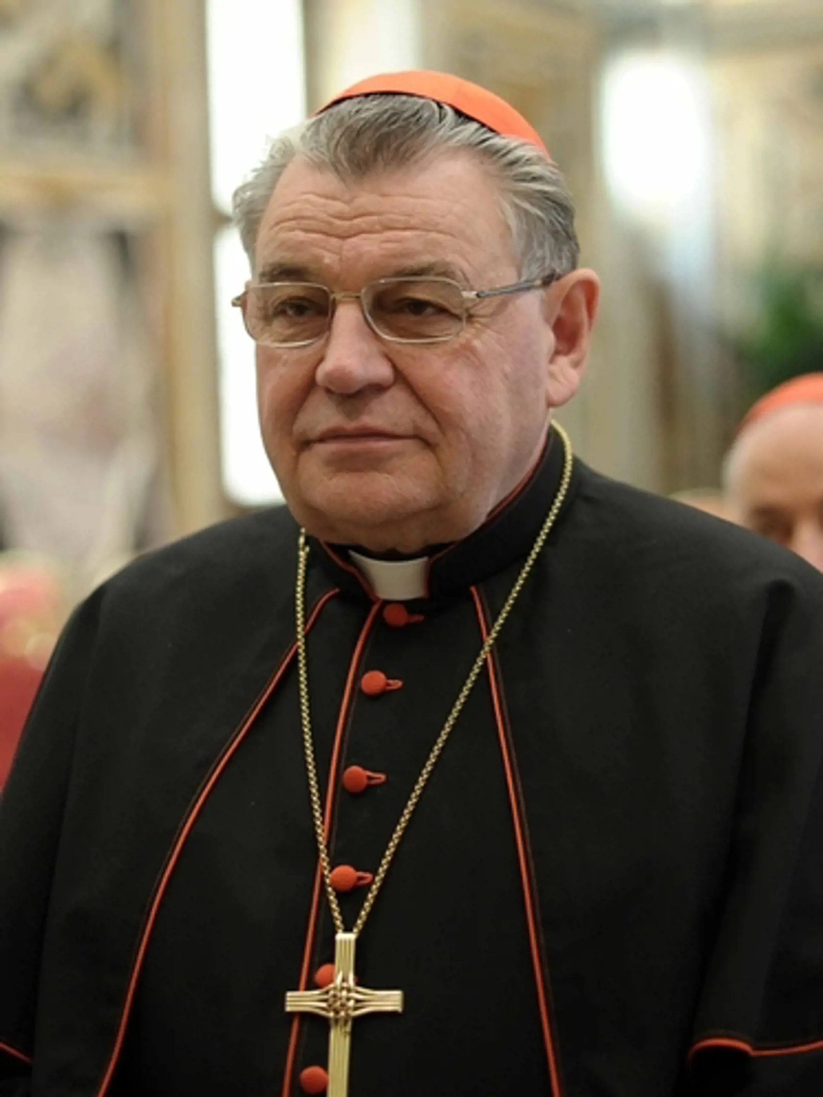 NOVÁ NÁDEJ: Predstavuje ju český kardinál Duka.