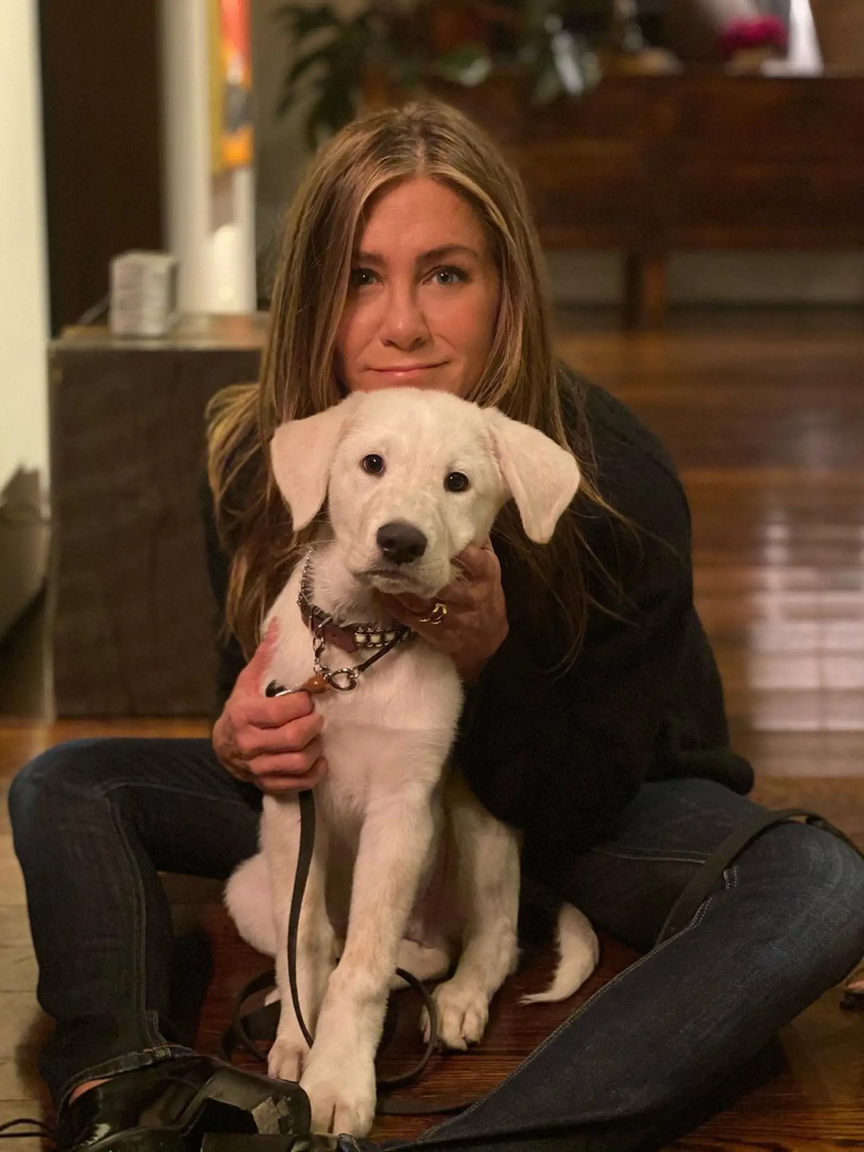Jennifer Aniston a jej psí miláčik
