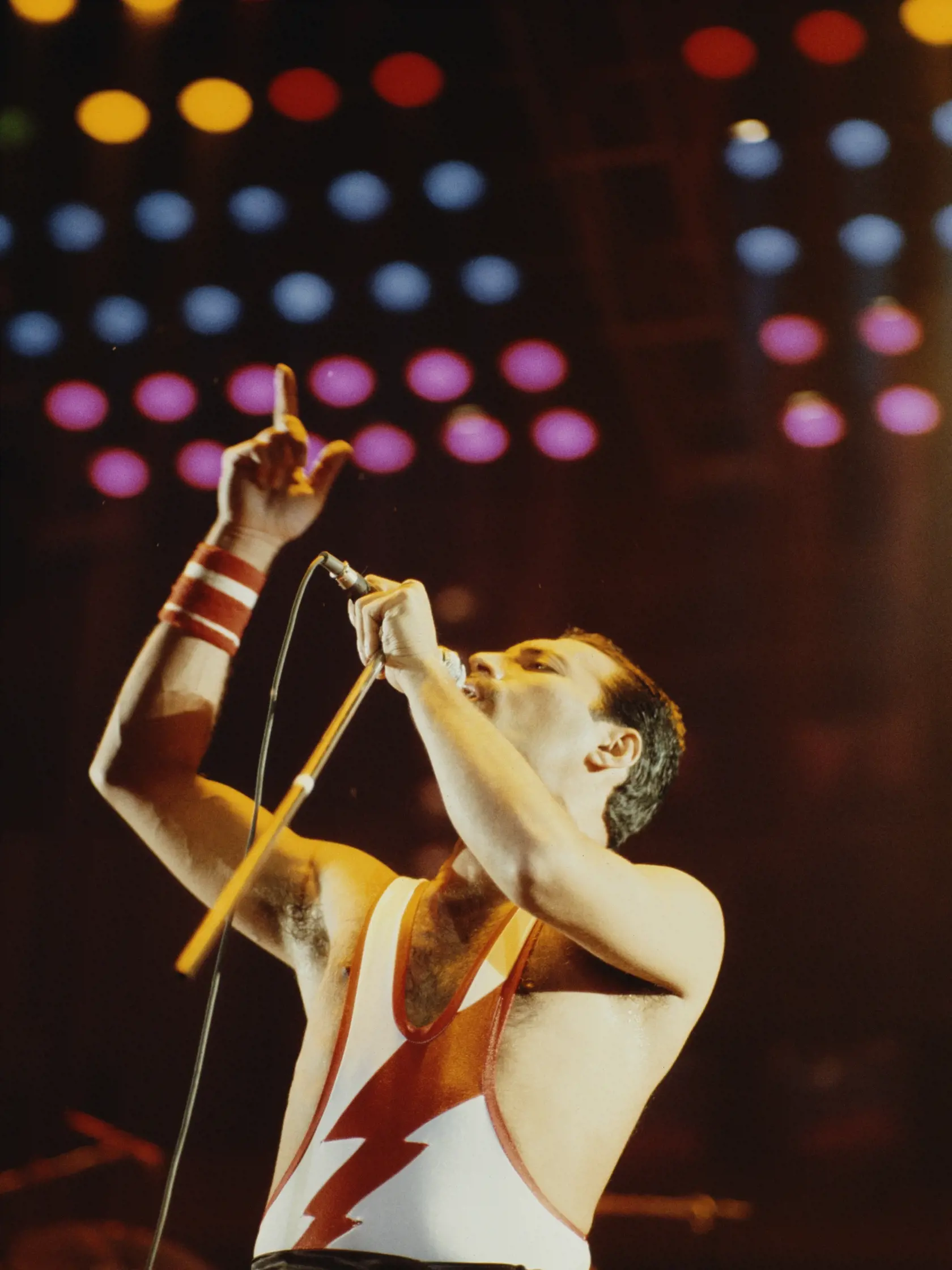Legendárny spevák a frontman skupiny Queen nenávidel svoje zuby a miloval klavír. Jeho kontroverzný životný štýl však prináša neustále nové poznatky o jeho živote. Jeho priateľ Elton John napríklad dostal po jeho smrti darček s venovaním. Bol v ňom Freddieho vankúš, ktorý mu pred odchodom na druhý svet poslal.