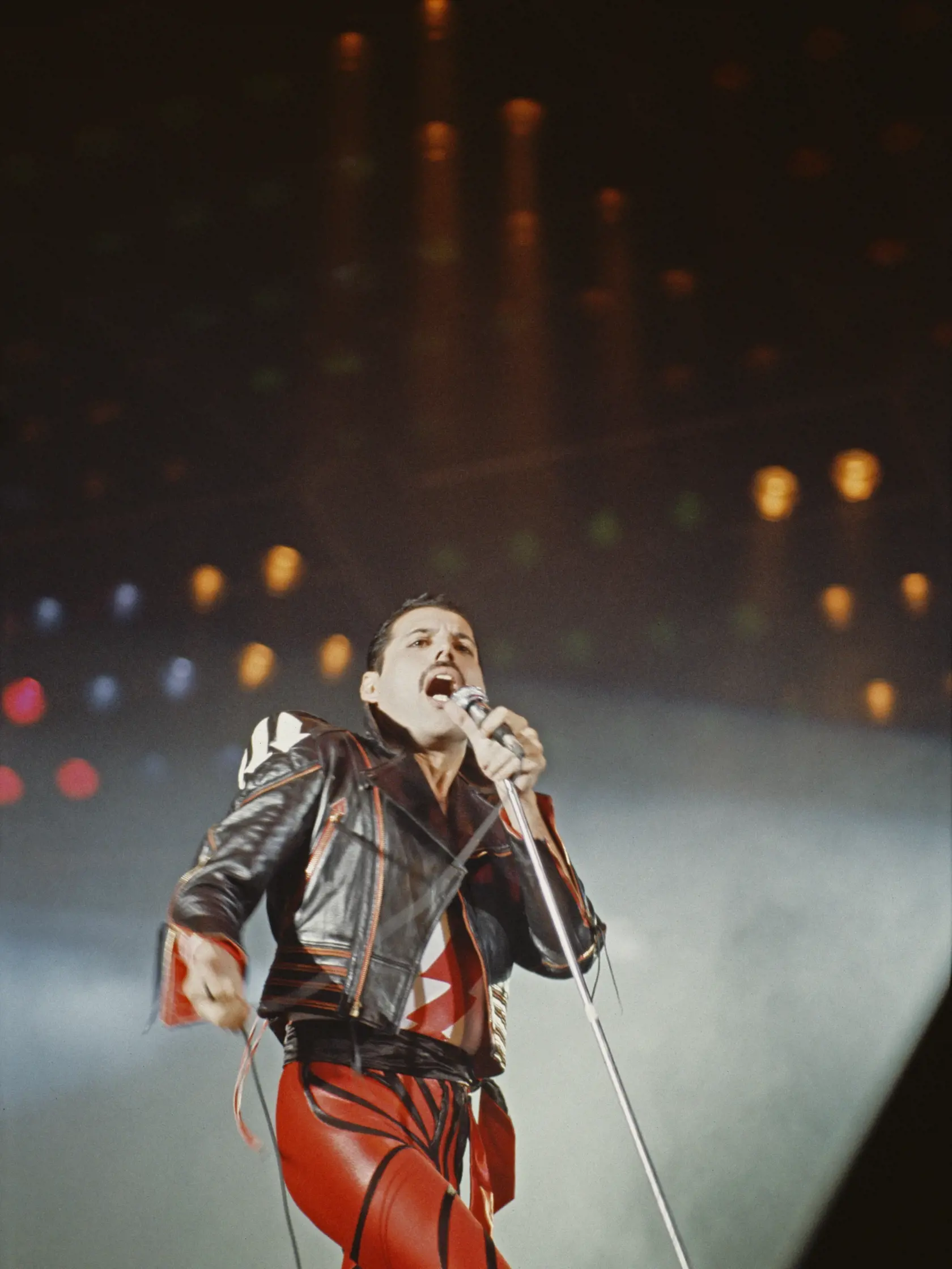Legendárny spevák a frontman skupiny Queen nenávidel svoje zuby a miloval klavír. Jeho kontroverzný životný štýl však prináša neustále nové poznatky o jeho živote. Jeho priateľ Elton John napríklad dostal po jeho smrti darček s venovaním. Bol v ňom Freddieho vankúš, ktorý mu pred odchodom na druhý svet poslal.
