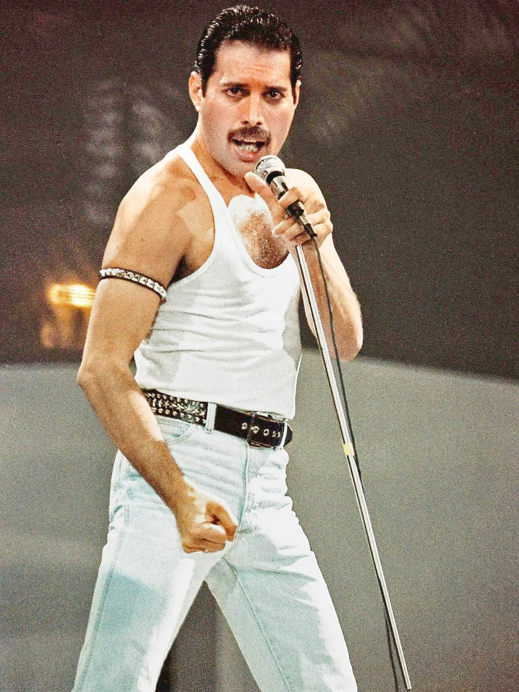 Celý svet ho spoznal pod menom FREDDIE MERCURY. Stala sa z neho rocková hviezda najväčšieho formátu.