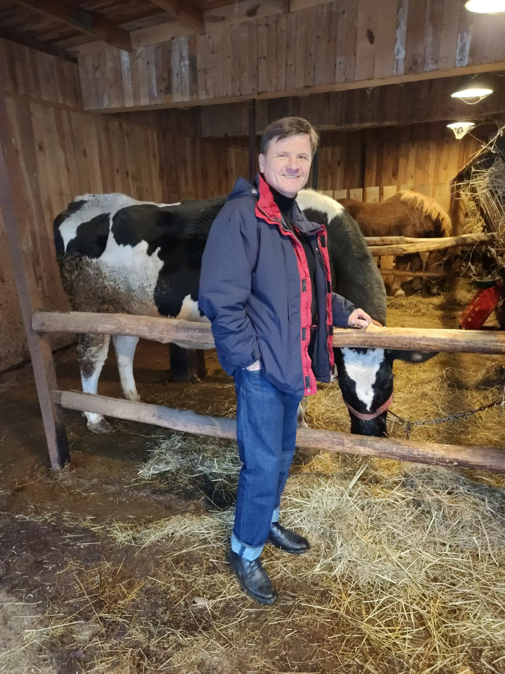Alojz Hlina má na svojej biofarme neďaleko Bratislavy aj kravy, zjavne ho starostlivosť o hospodárske zvieratá teší.