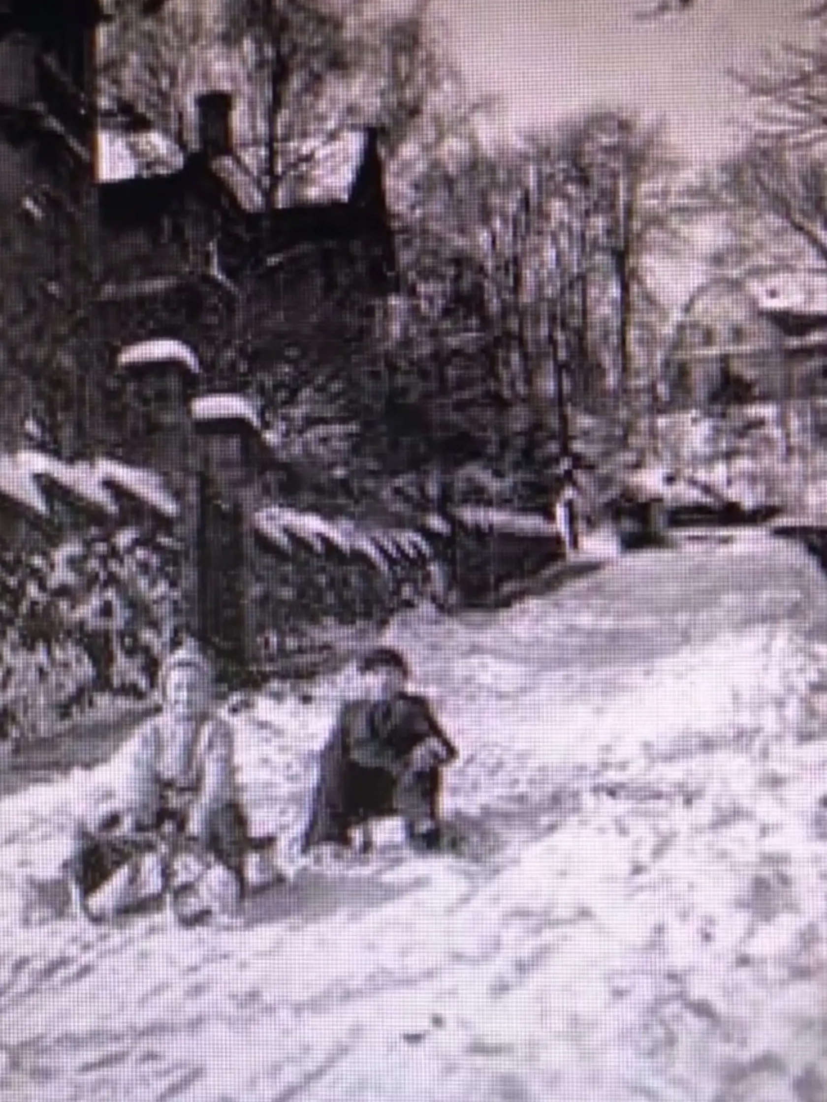 Túto fotografiu z roku 1956 nám poslala Eva Klimáčková z Bratislavy.