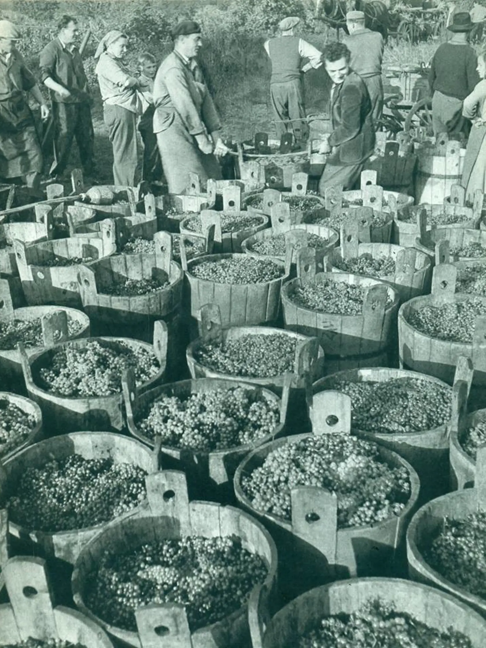 Dostali sme plno vašich fotografických spomienok, veľa mailov o živote pred novembrom 1989.
