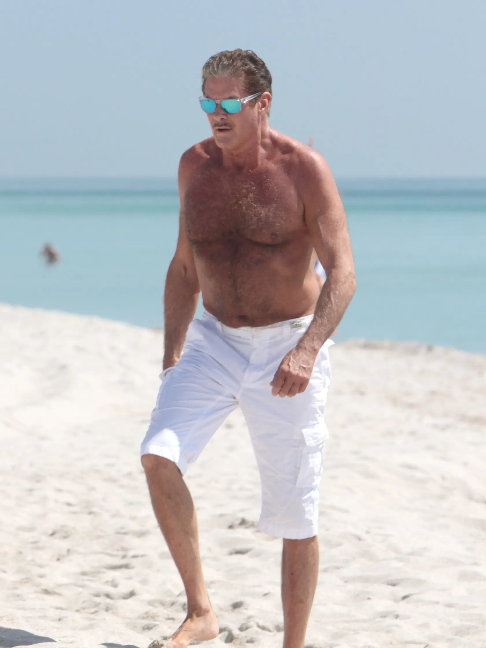 David Hasselhoff