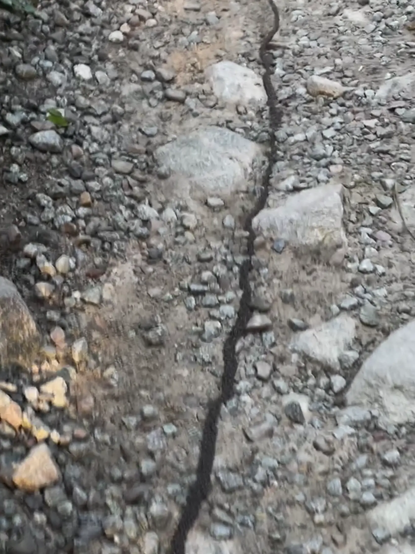 Čo podnecuje larvy, aby sa zhromaždili v takých veľkých skupinách a začali migrovať, je pre vedcov stále záhadou.