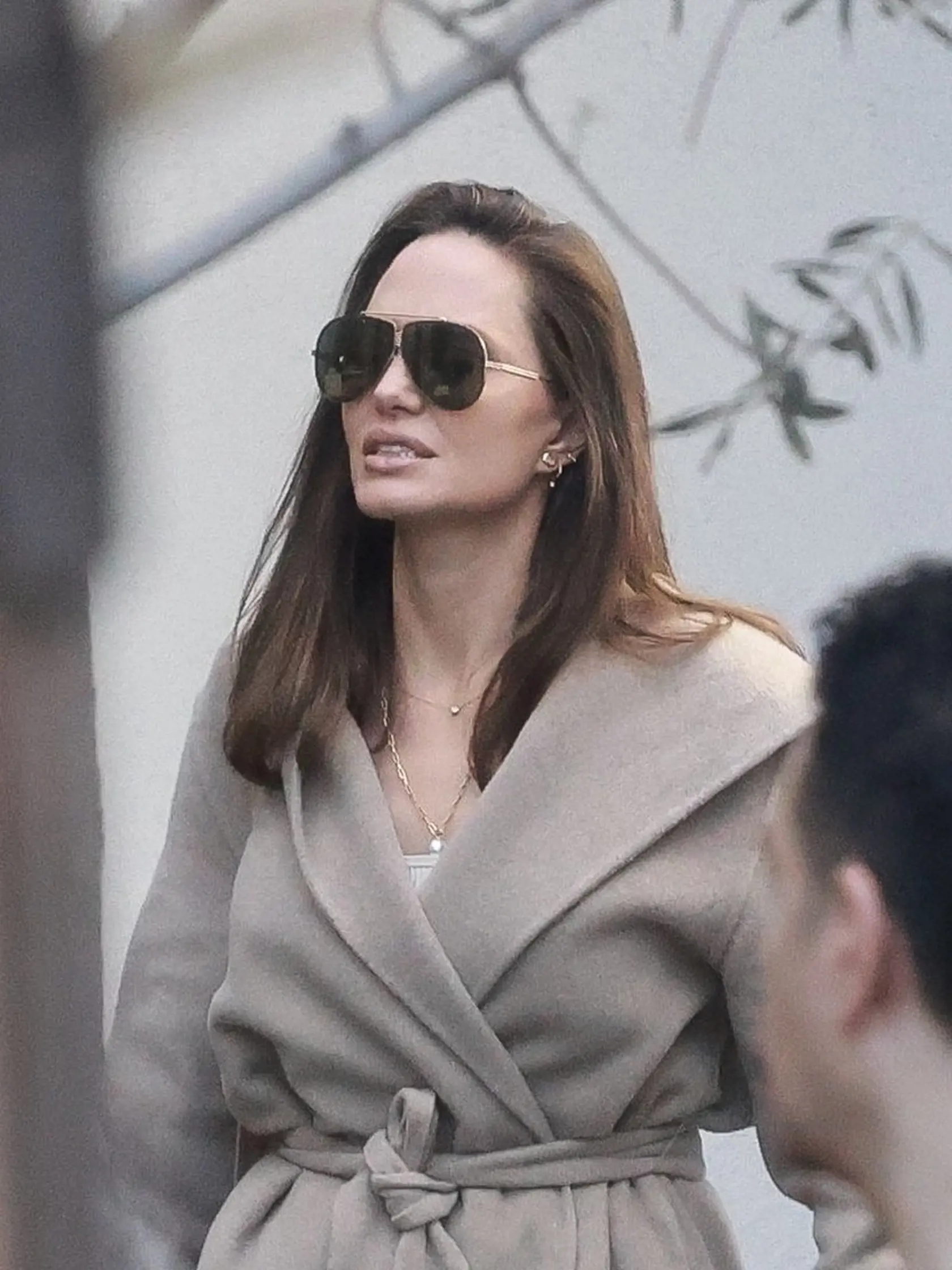 Angelina si zatiaľ užila nákupy so synom Paxom a večeru v Los Angeles.