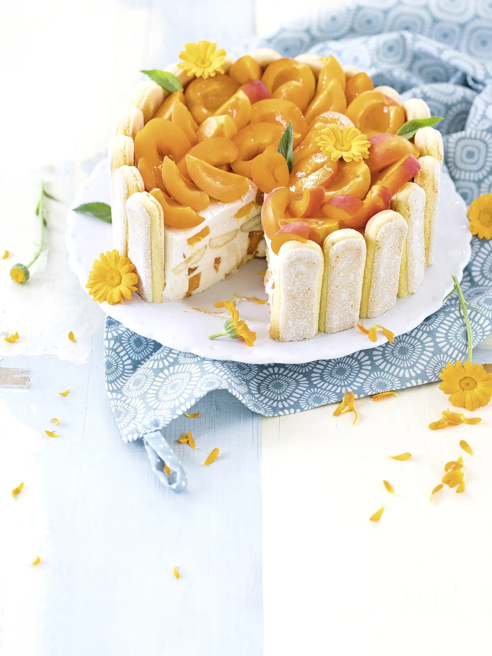 Nepečená smotanová torta