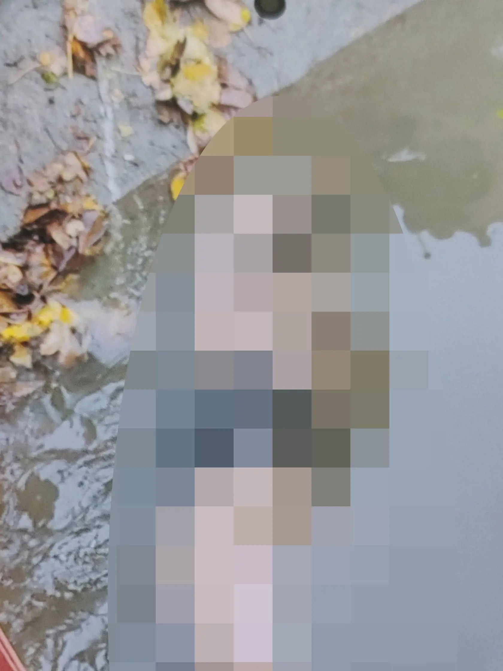 Dianu našli v zúboženom stave.