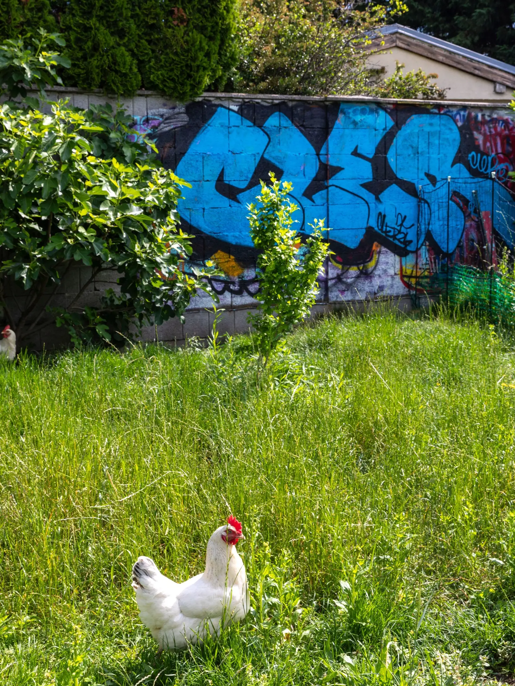 Ivanov syn si mohol graffiti vyskúšať doma na jednom z múrov.
