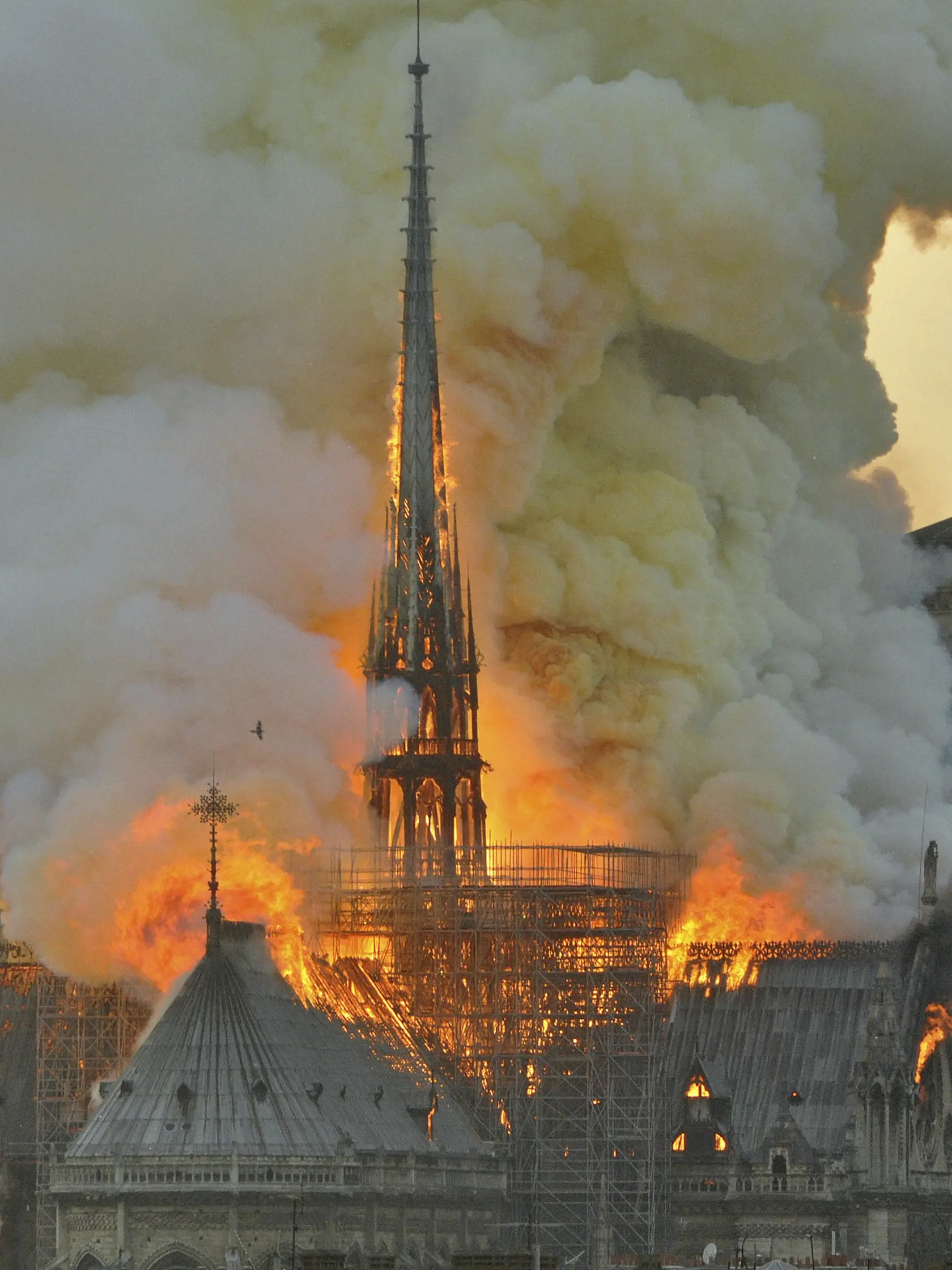 Svet pred pár dňami šokoval požiar parížskej katedrály Notre Dame. Kruté správy zasiahli aj Saganovu manželku...