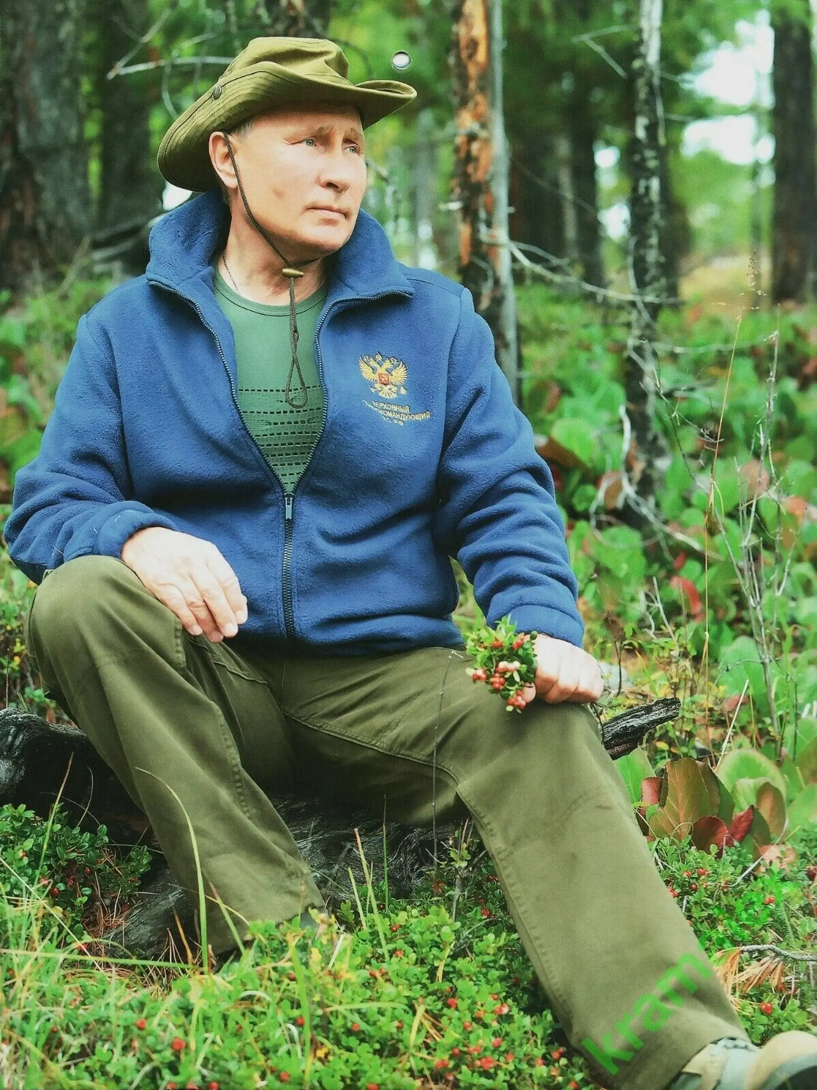 Romantika v lese. Vladimír Putin.