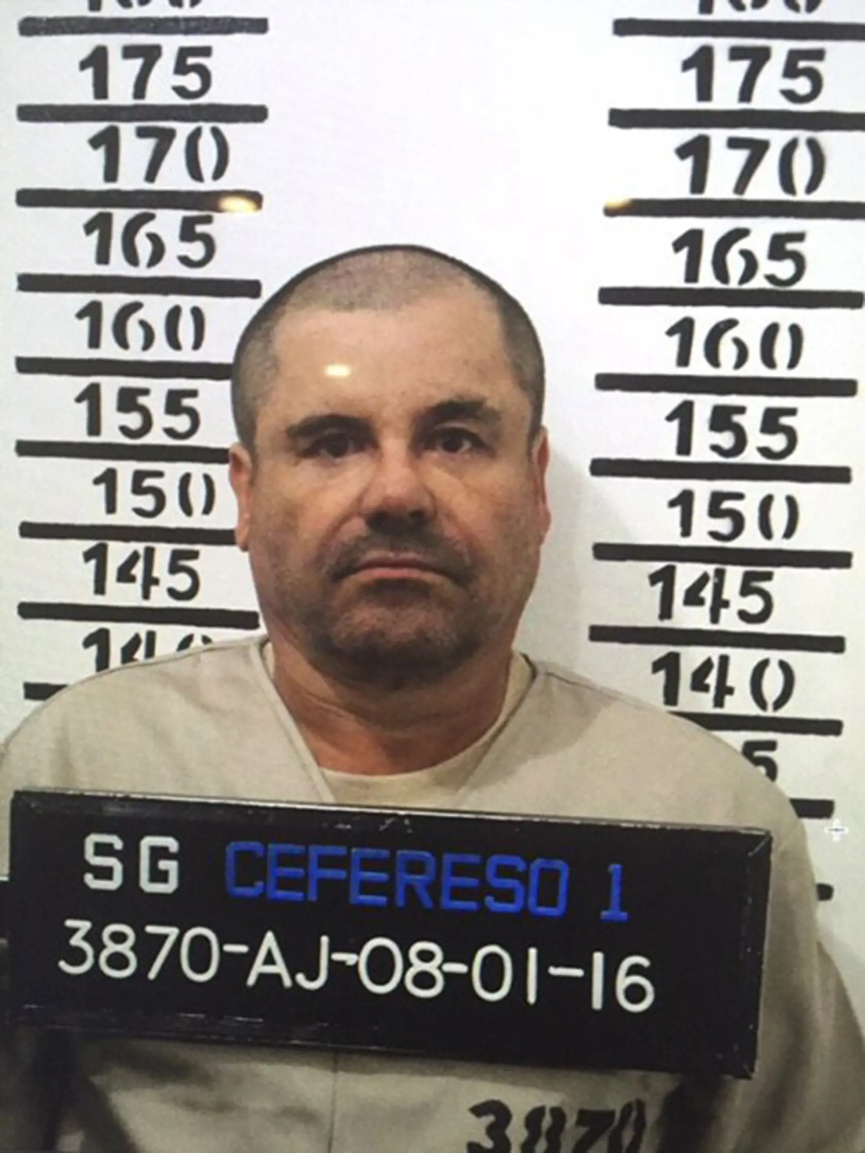 In this Jan. 8, 2016 image released by Mexico's federal government, Mexico's most wanted drug lord, Joaquin "El Chapo" Guzman, stands for his prison mug shot, with the inmate number 3870 at the Altiplano maximum security federal prison in Almoloya, Mexico. Mexico has begun the process of extraditing Guzman to the United States, where he faces drug-trafficking charges, but that could take "a year or longer" because of legal challenges, said the head of Mexico's extradition office, Manuel Merino. 