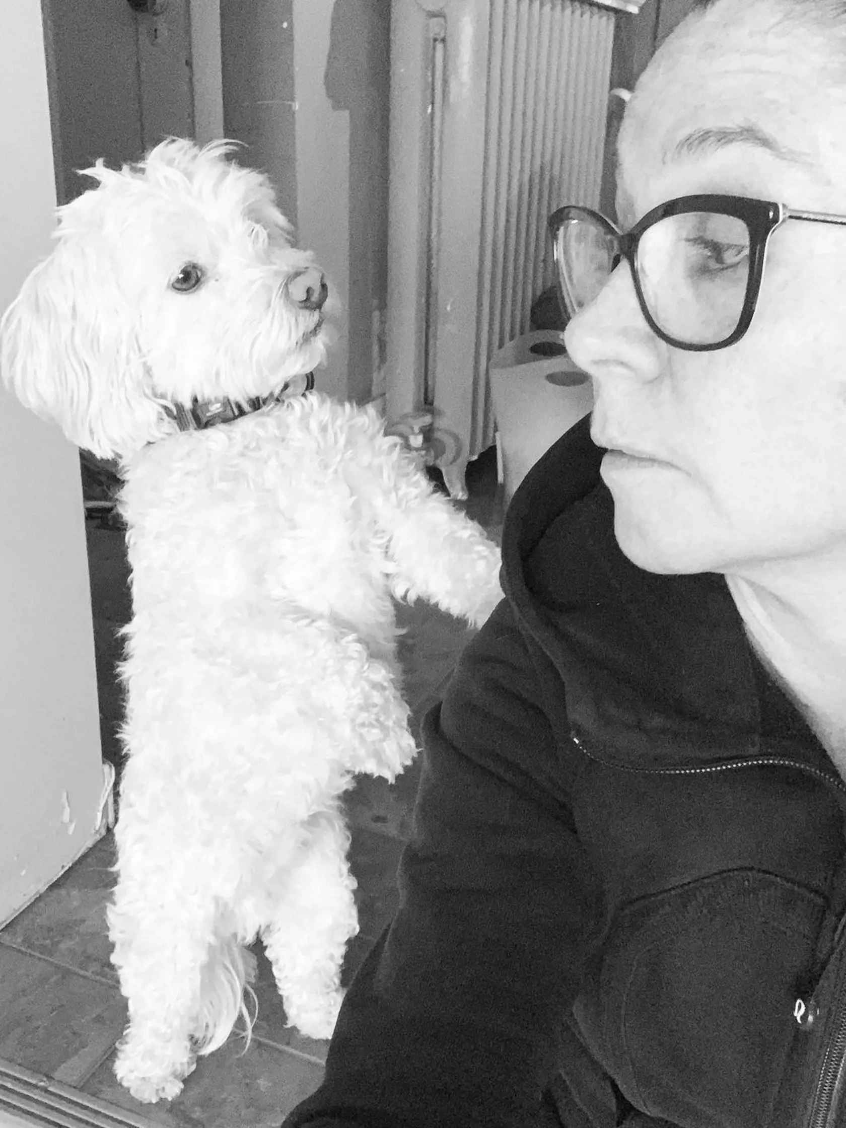 Megan Follows dnes