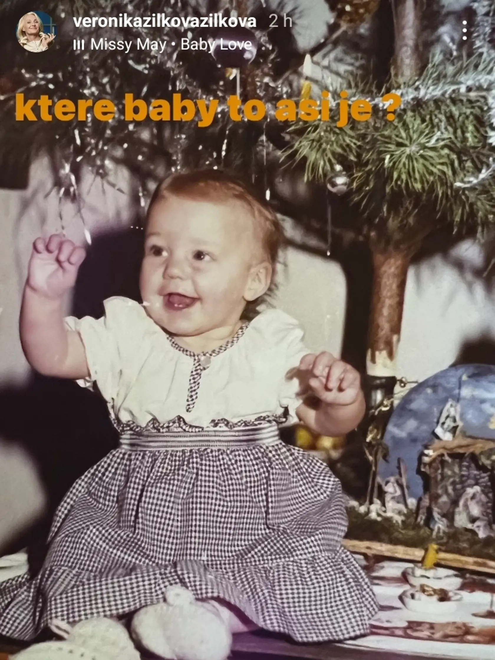 Agáta Hanychová, riešenie hádanky