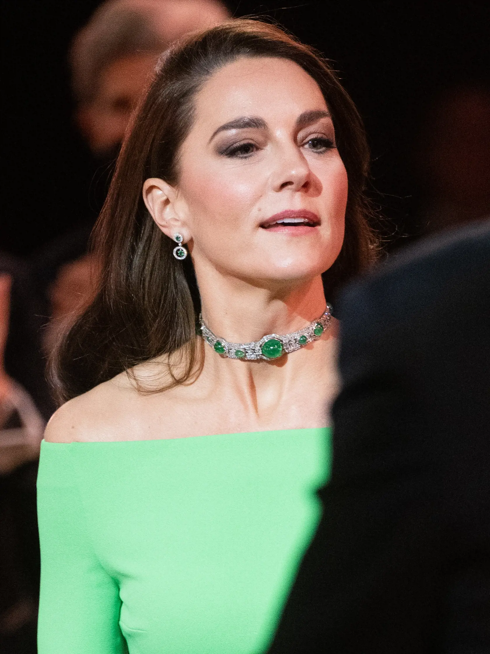 V súlade s ekologickou témou večera sa princezná Kate rozhodla obliecť šaty od značky Solace London, ktorý kráľovská rodina získala z online požičovne návrhárov HURR. Za zapožičanie róby účtuje 74 až 194 libier.