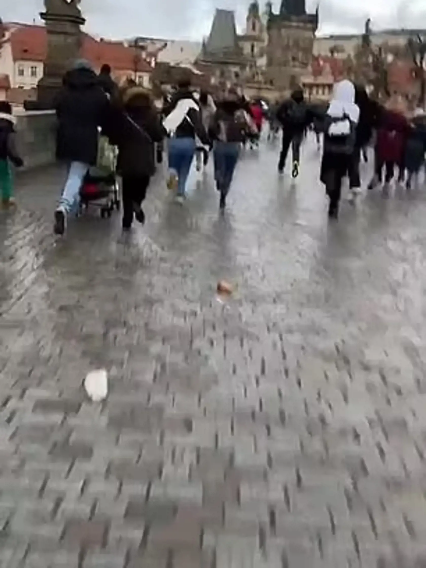 Mladík strieľal z balkóna Filozofickej fakulty Karlovej univerzity po ľuďoch na ulici, smerom k Mánesovmu mostu.