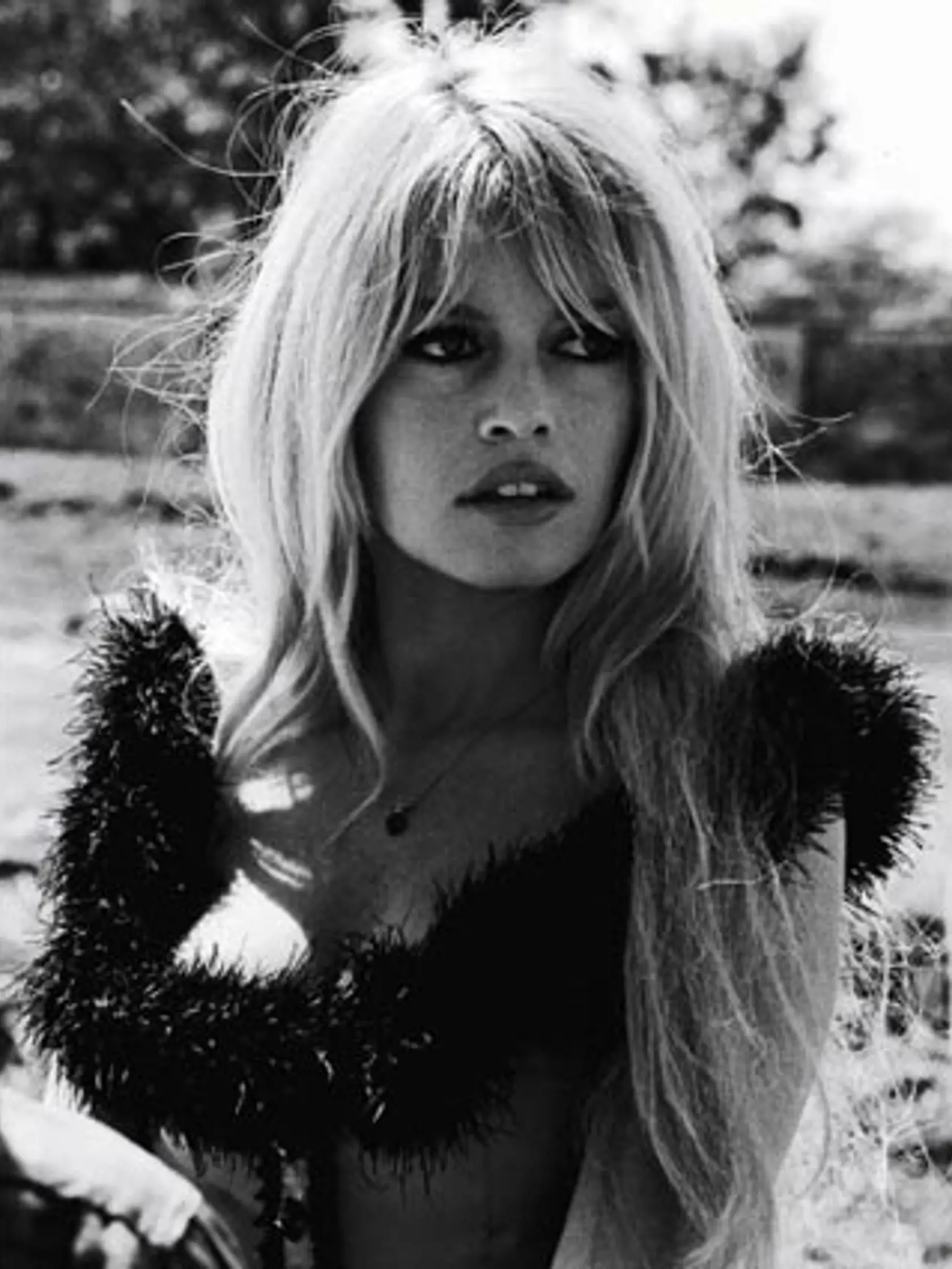 Brigitte Bardot sa narodila 28. septembra 1934 v Paríži do konzervatívnej a bohatšej rodiny. Už v mladom veku prejavila záujem o umenie, pričom sa venovala baletu a neskôr modelingu. Jej kariéra odštartovala vo veku len 15 rokov, keď sa objavila na obálke prestížneho magazínu Elle, čo jej prinieslo ponuky na filmové role.