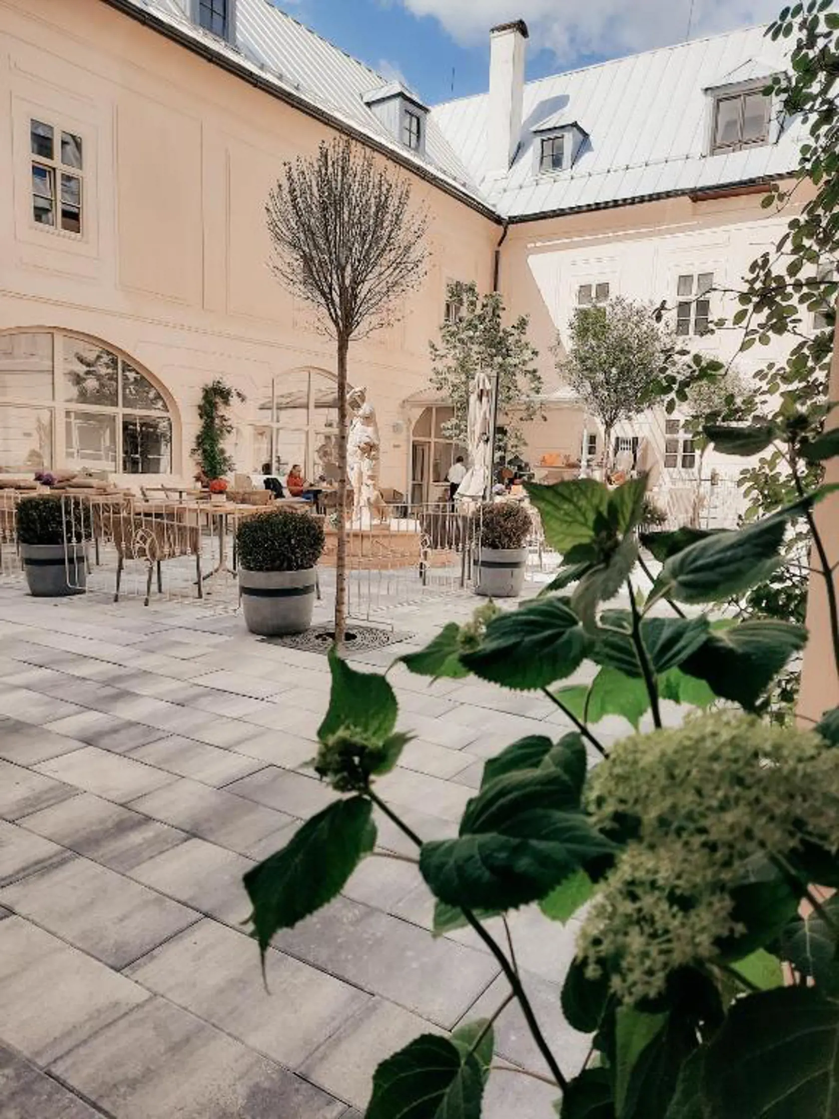 Na nádvorí vo vnútrobloku barokového paláca v Banskej Štiavnici v ktorom má apartmán bývalý minister obrany Jaroslav Naď sa nachádza bar.