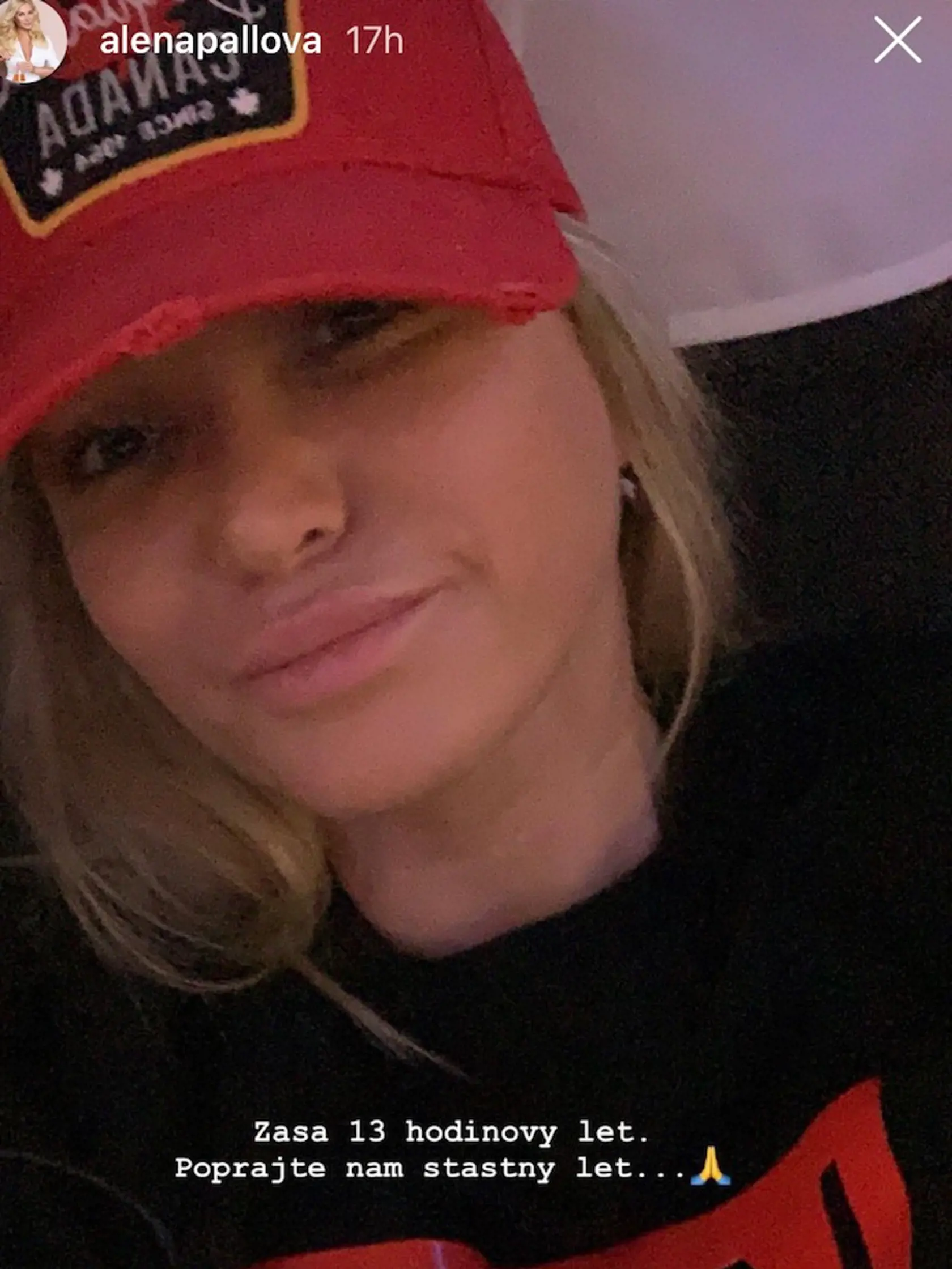 Alena Pallová