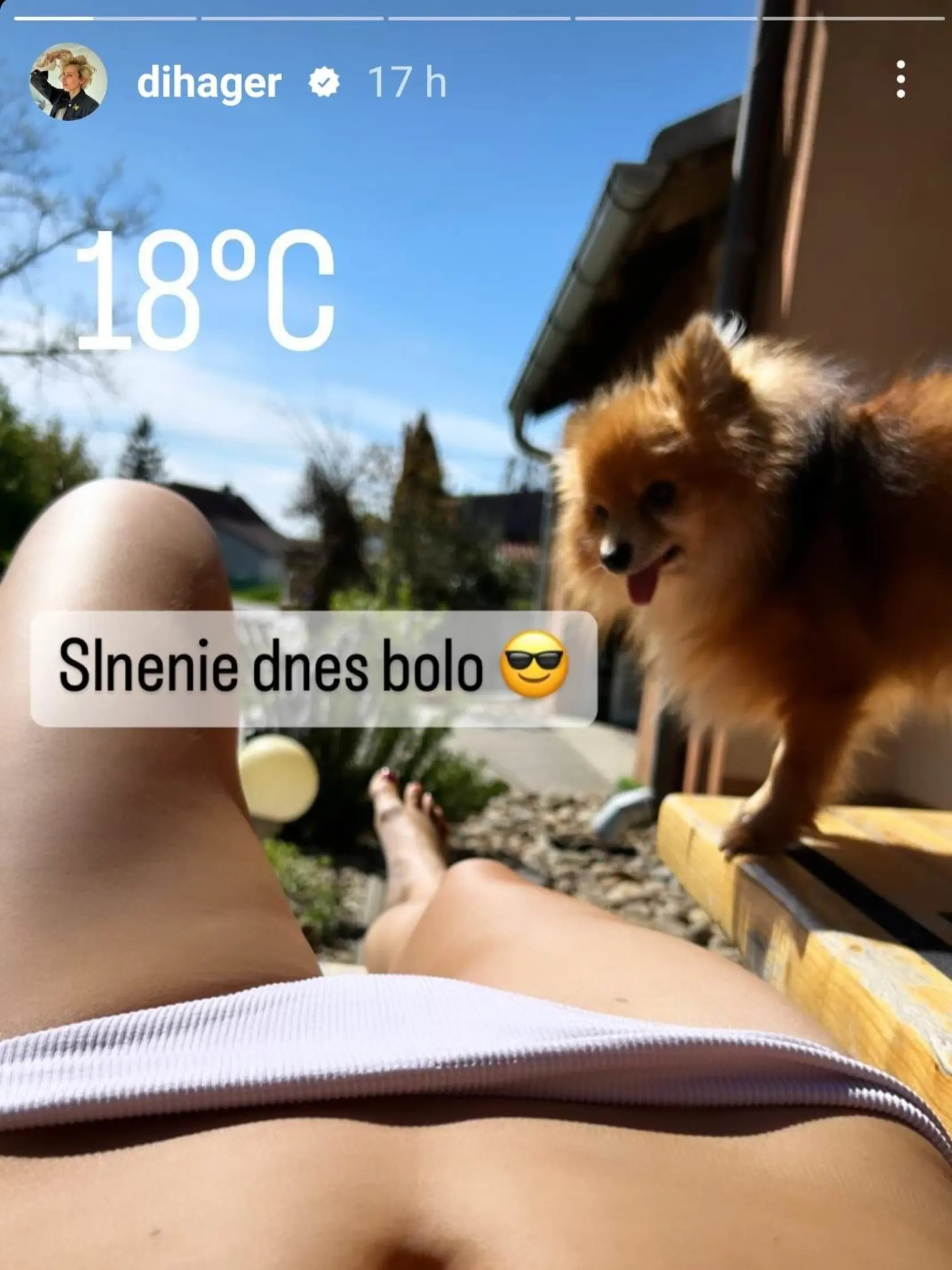 Diana sa pochválila vypracovaným bruškom.