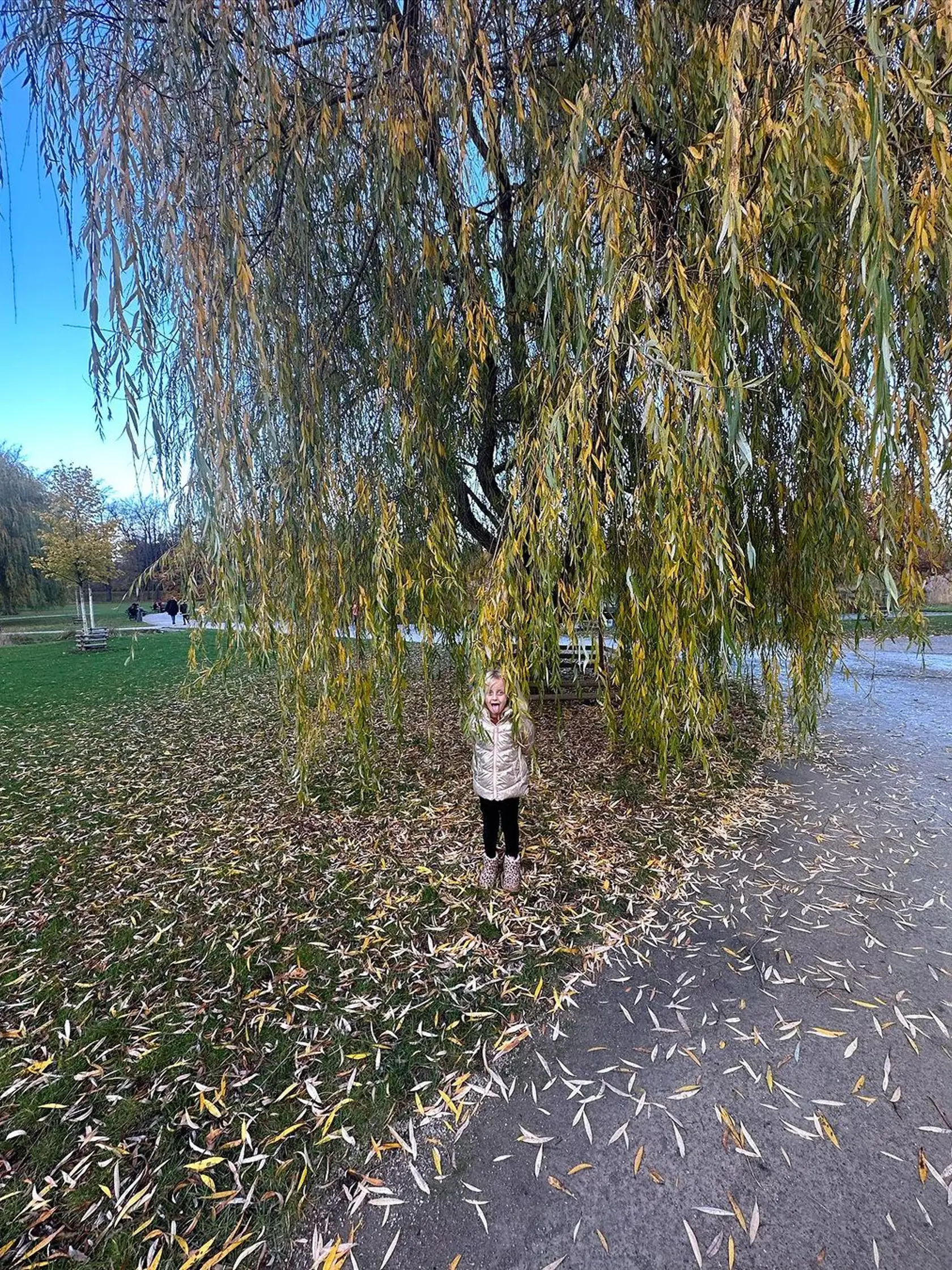 Agáta Hanychová