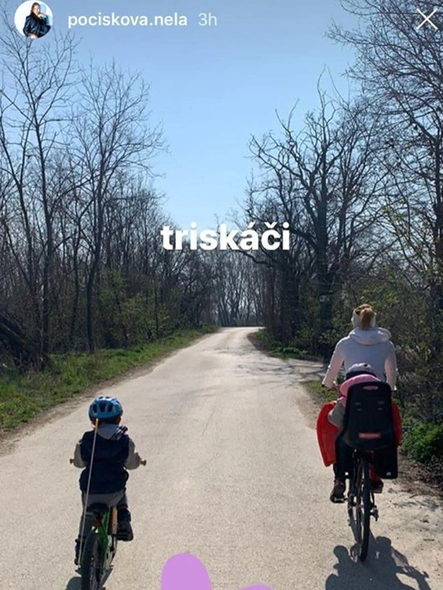 Rodinná pohodička v lese.