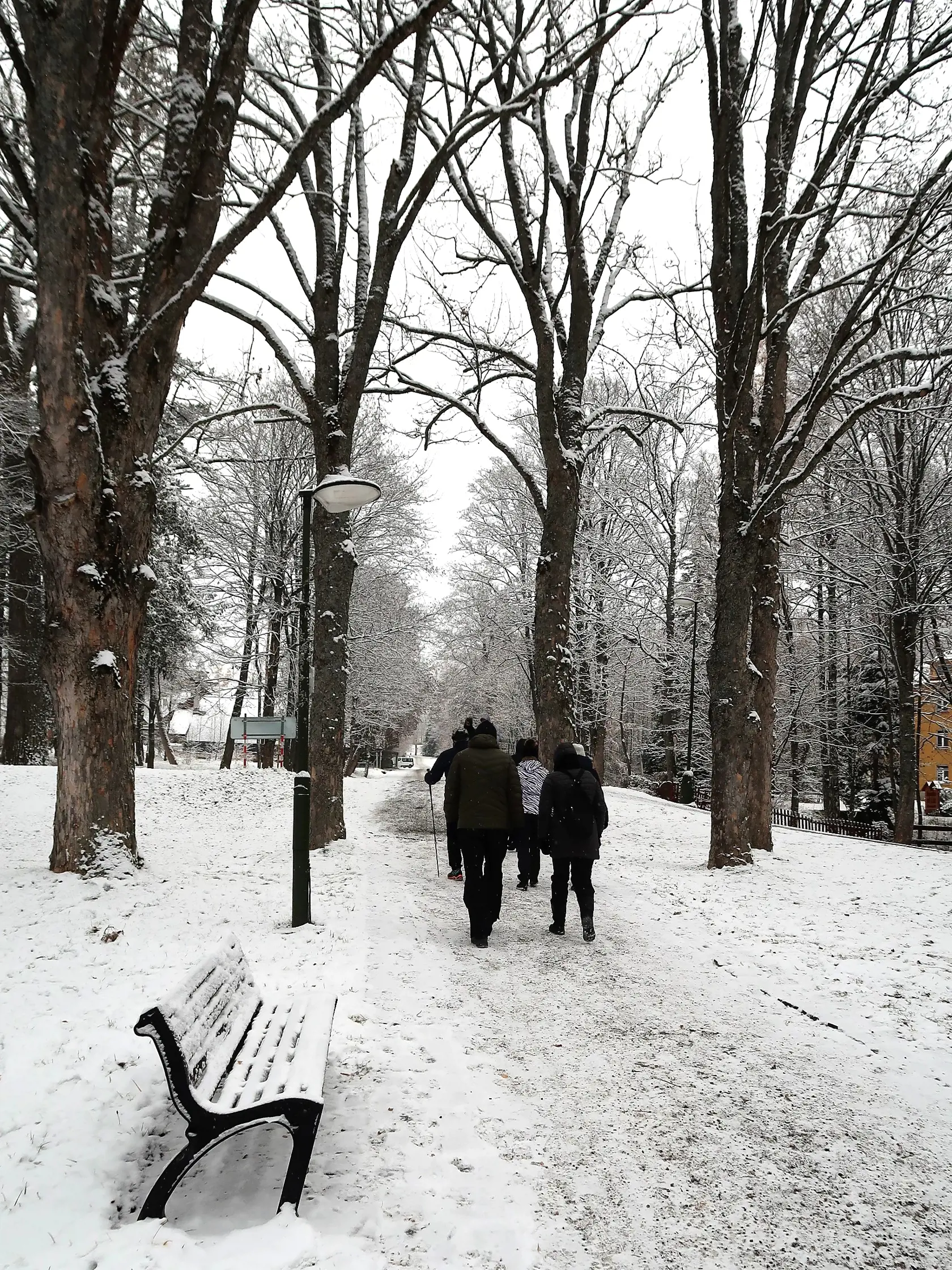 Na snímke turisti sa prechádzajú po parku v Tatranskej Lomnici v sobotu 19. novembra 2022. Vplyvom studeného frontu sa Tatranci v sobotu zobudili do bieleho rána. Územie nad Cestou Slobody pokryla približne päťcentimetrová vrstva snehu a ochladilo sa. V Tatranskej Lomnici bolo dopoludnia približne - 6 stupňov Cezlia. Ochladenie a priaznivé poveternostné podmienky využili v strediskách Tatranská Lomnica a Štrbské Pleso na zasnežovanie. FOTO TASR - Adriána Hudecová
