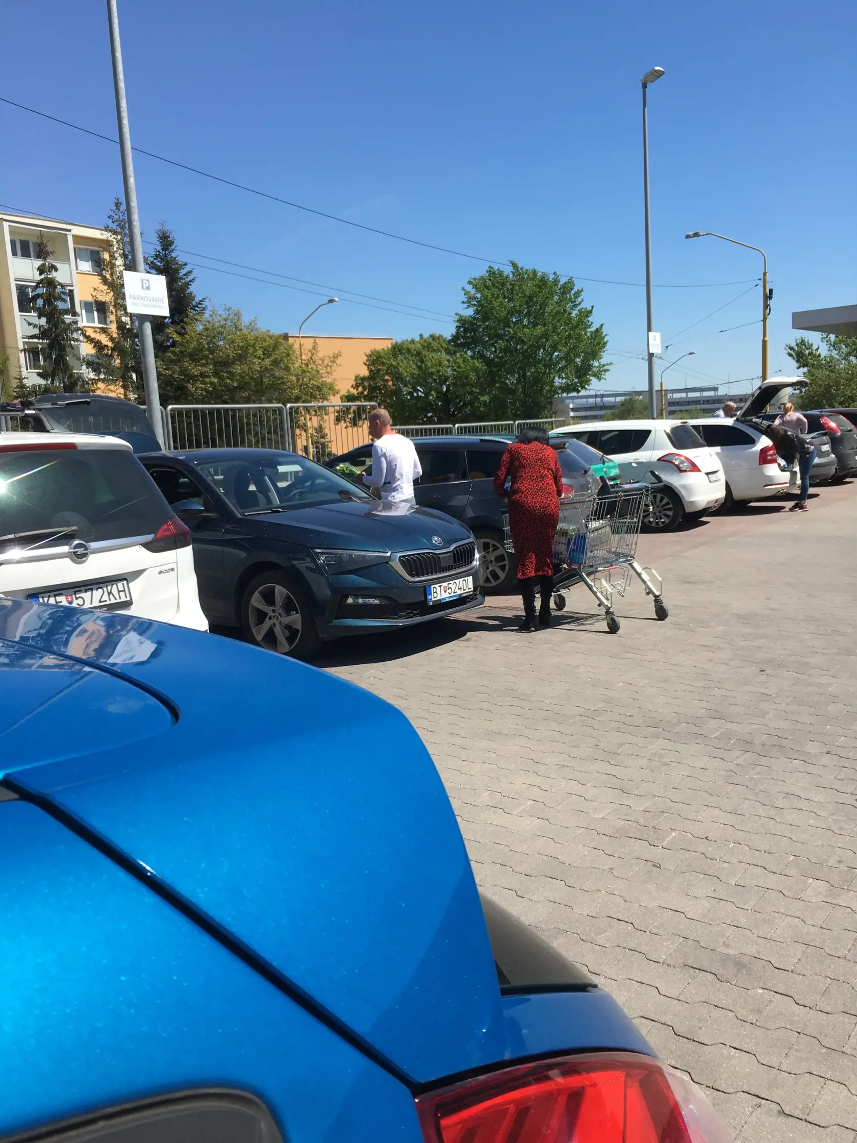 Rezešovej pomáhal s nákupom mladší muž.
