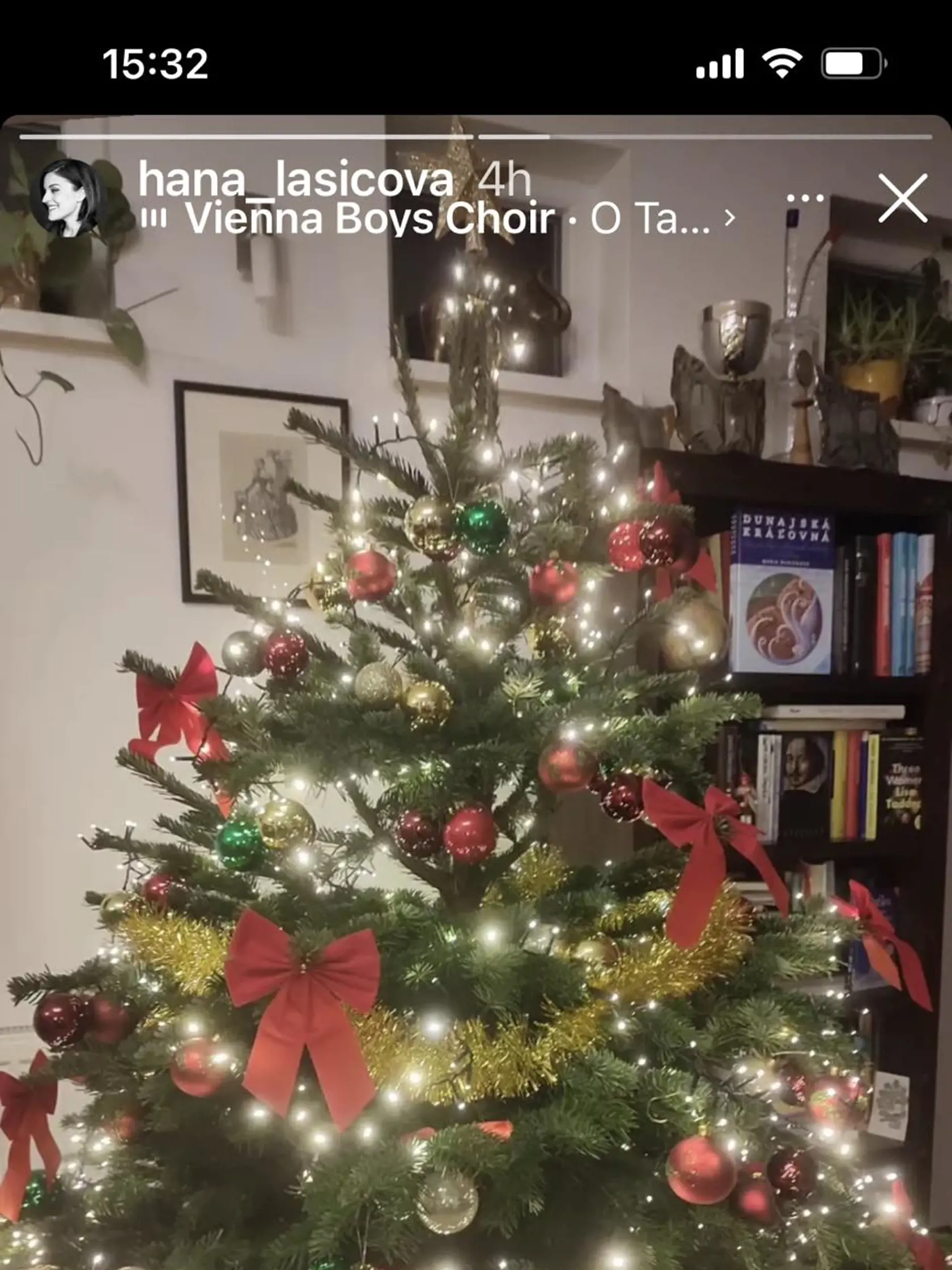 Vianočný stromček u Hany Lasicovej.