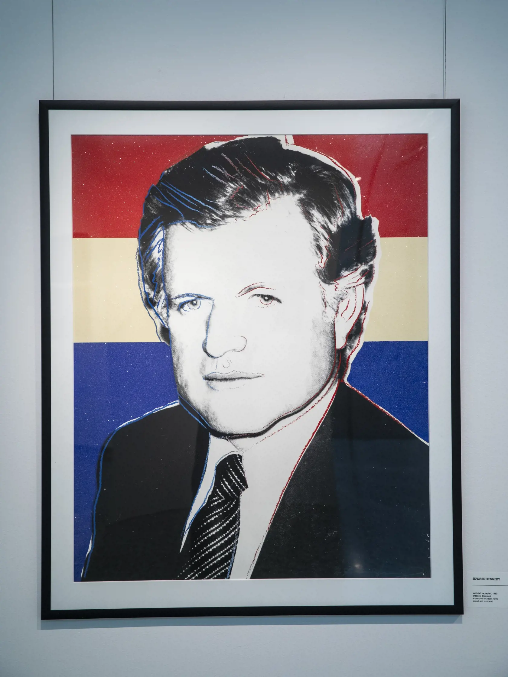 Portrét Edwarda Kennedyho z deluxe edície, ktorý je posiaty  diamantovým prachom.