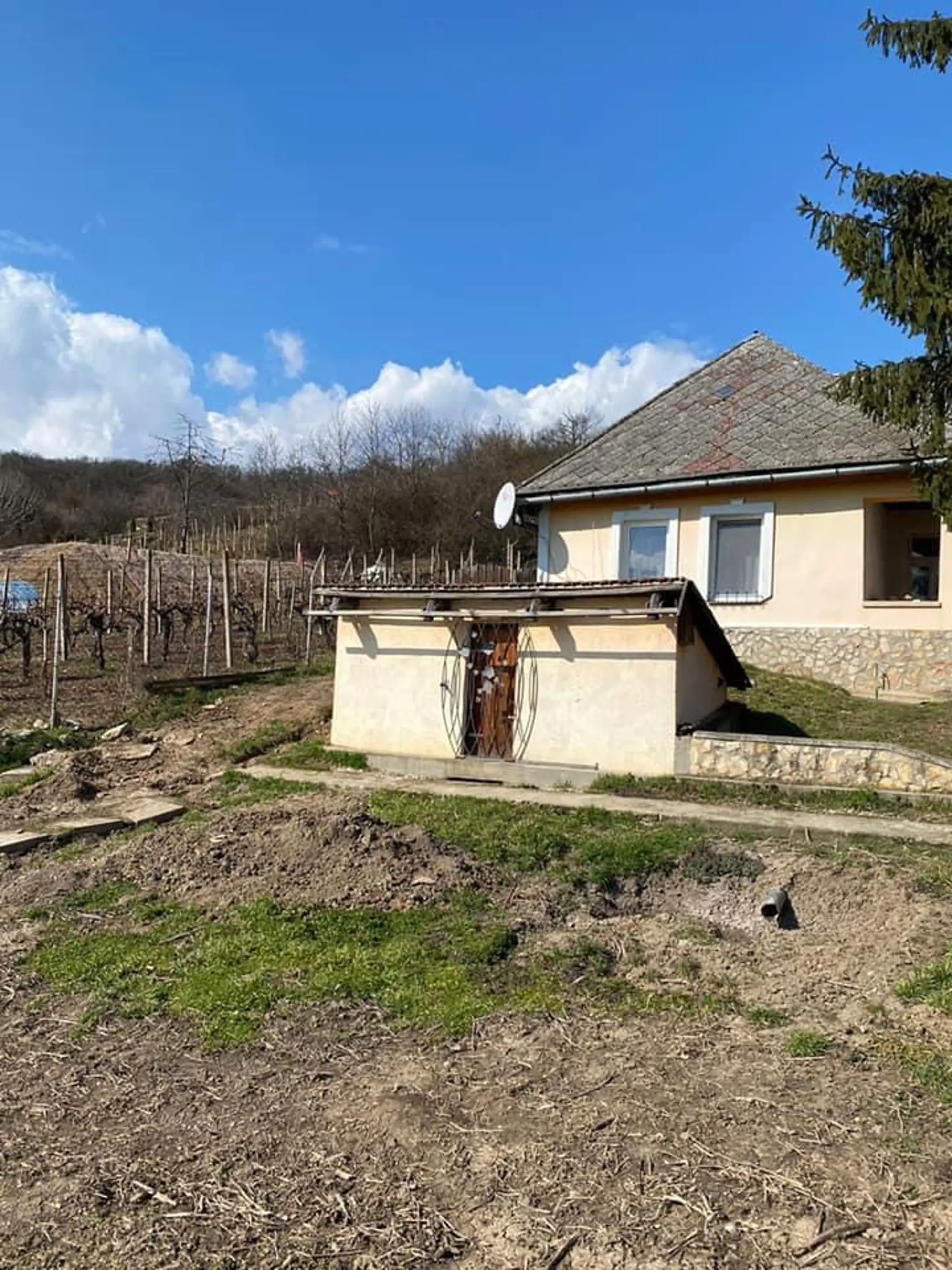 Dom vo Viničkách, kde bývajú Šoltésovci. Nebohý manžel Evy tam všetko zničil.