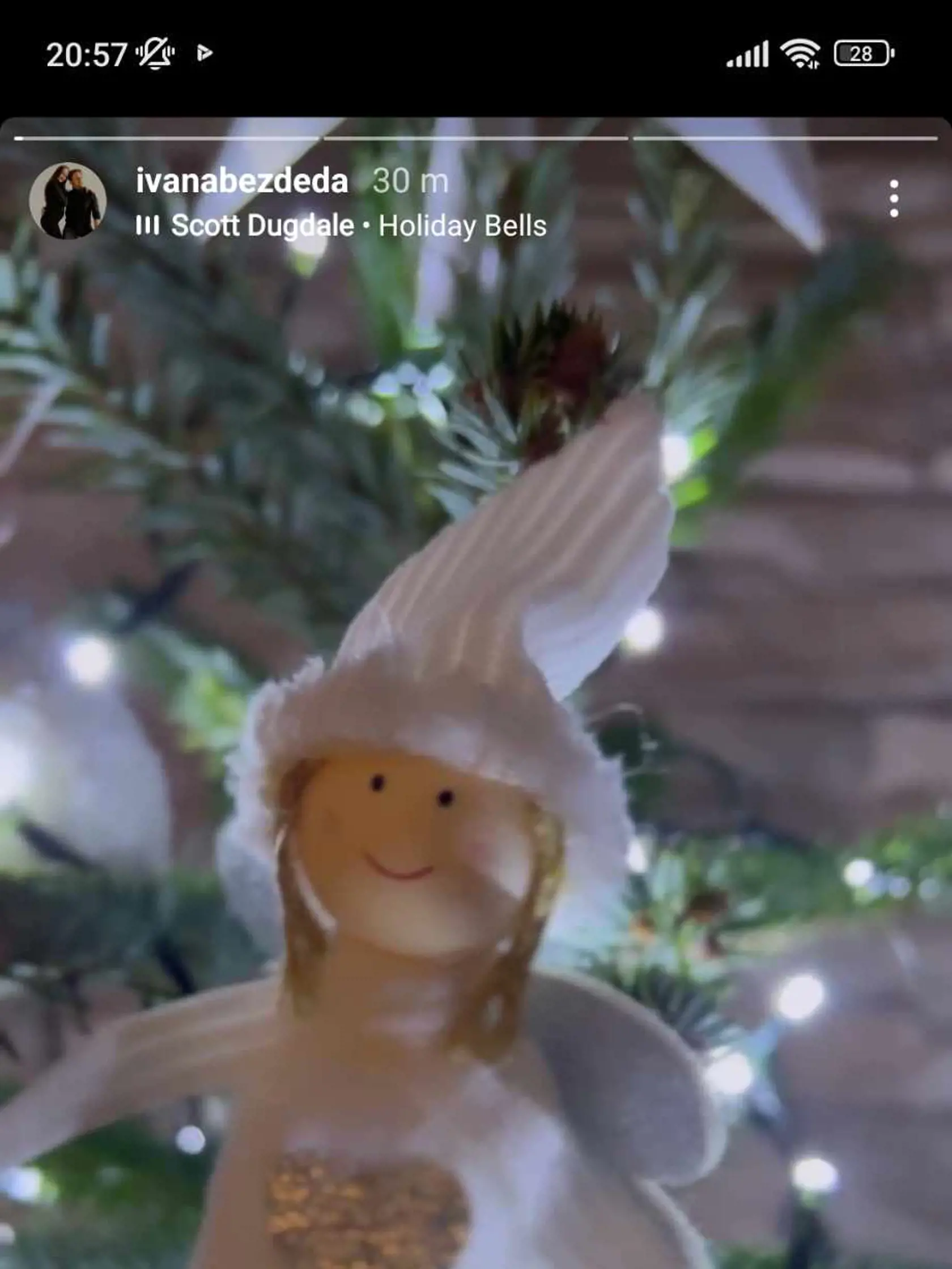 Detail na vianočný stromček Bezdedovcov