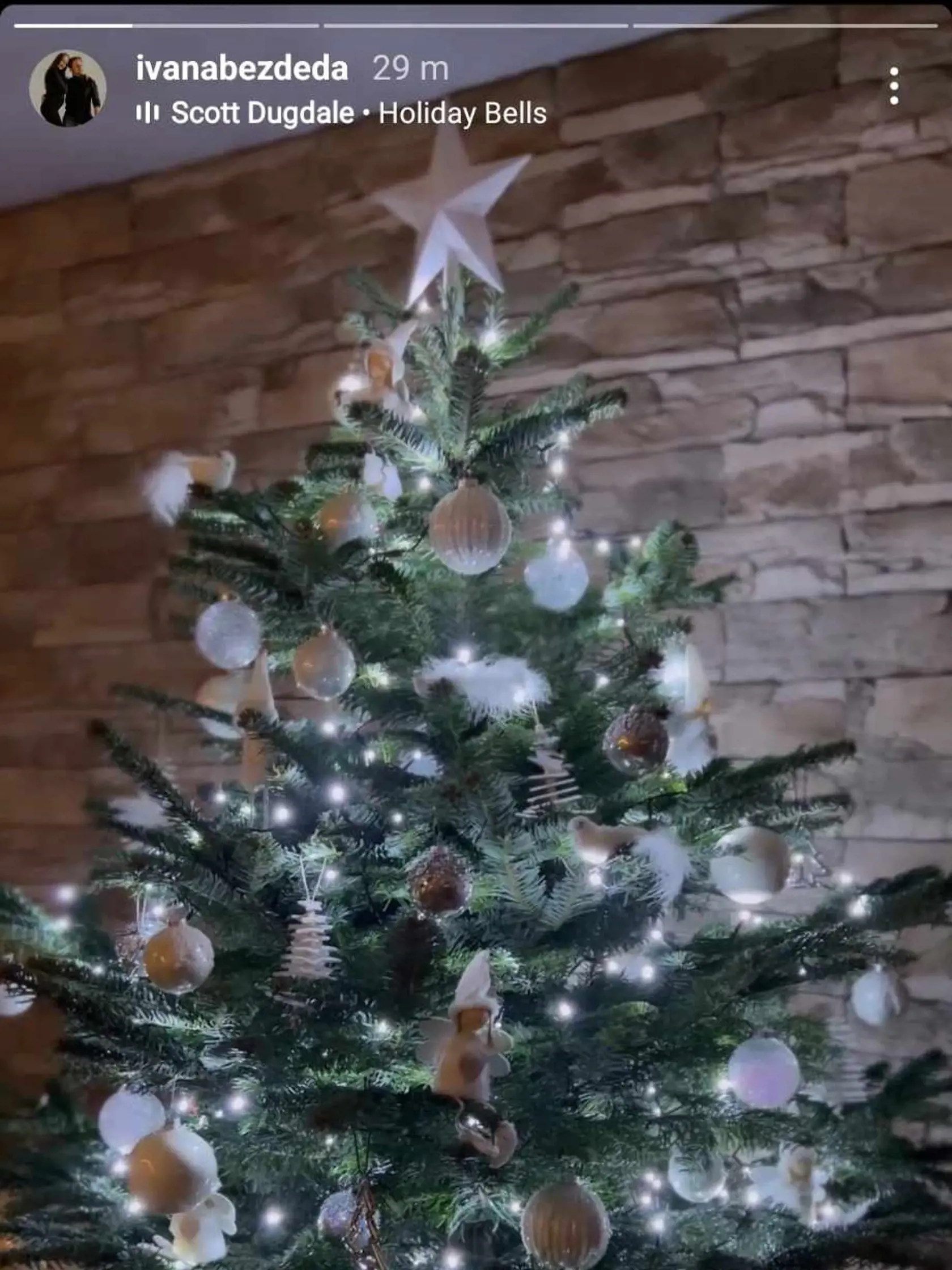 Bezdedovci sa tento rok rozhodli pre menší vianočný stromček.